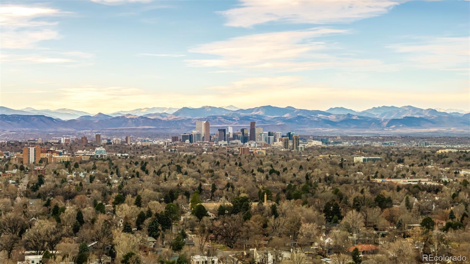 MLS Image #46 for 1003  roslyn court,denver, Colorado