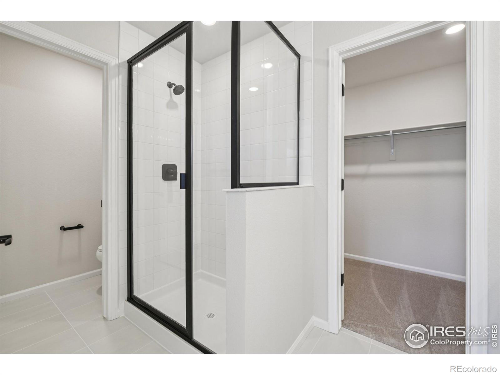 MLS Image #25 for 8777  whiteclover street,littleton, Colorado
