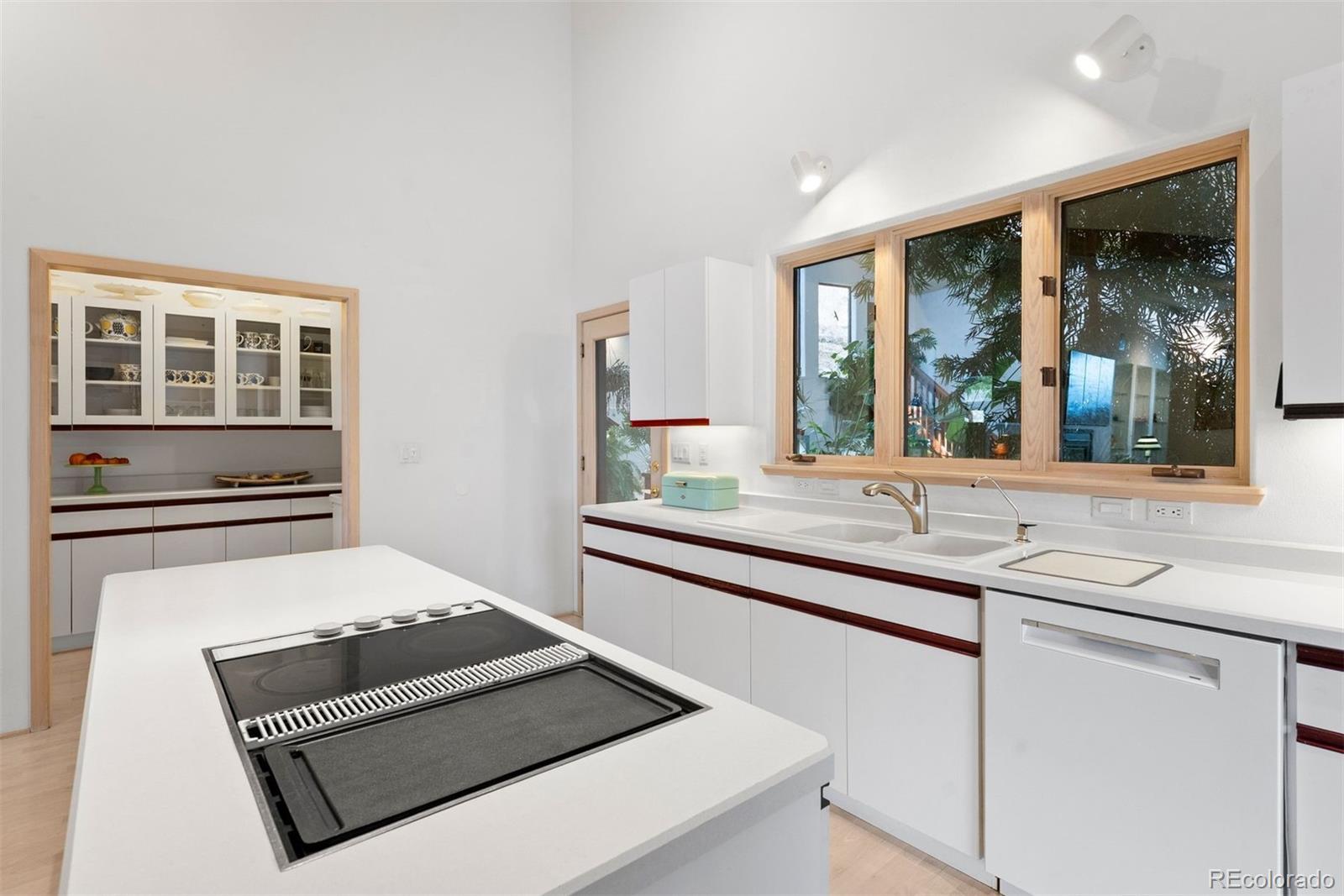 MLS Image #18 for 33901  stagecoach boulevard,evergreen, Colorado