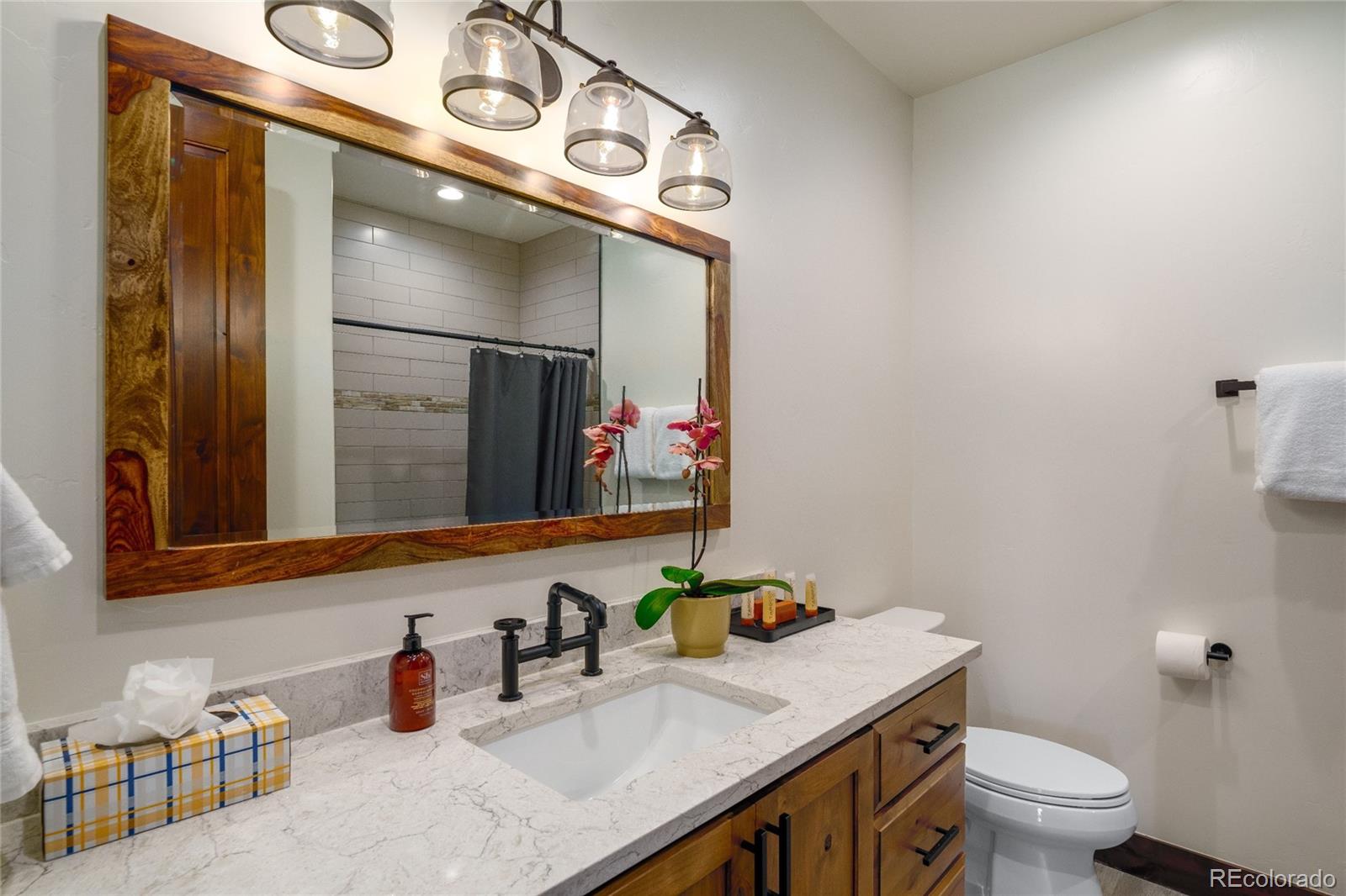 MLS Image #26 for 2669  bronc buster loop,steamboat springs, Colorado