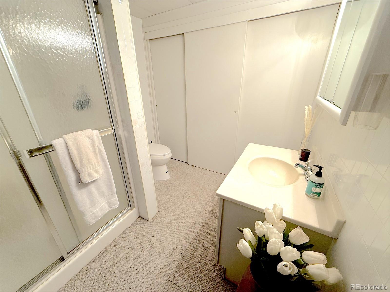 MLS Image #13 for 35  shillelagh place,howard, Colorado