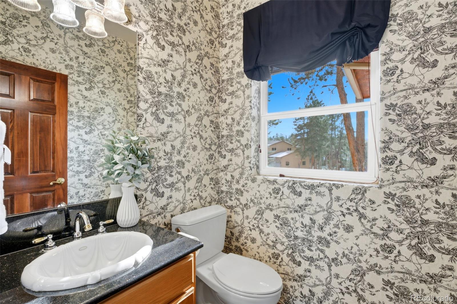 MLS Image #11 for 665  pembrook drive,woodland park, Colorado