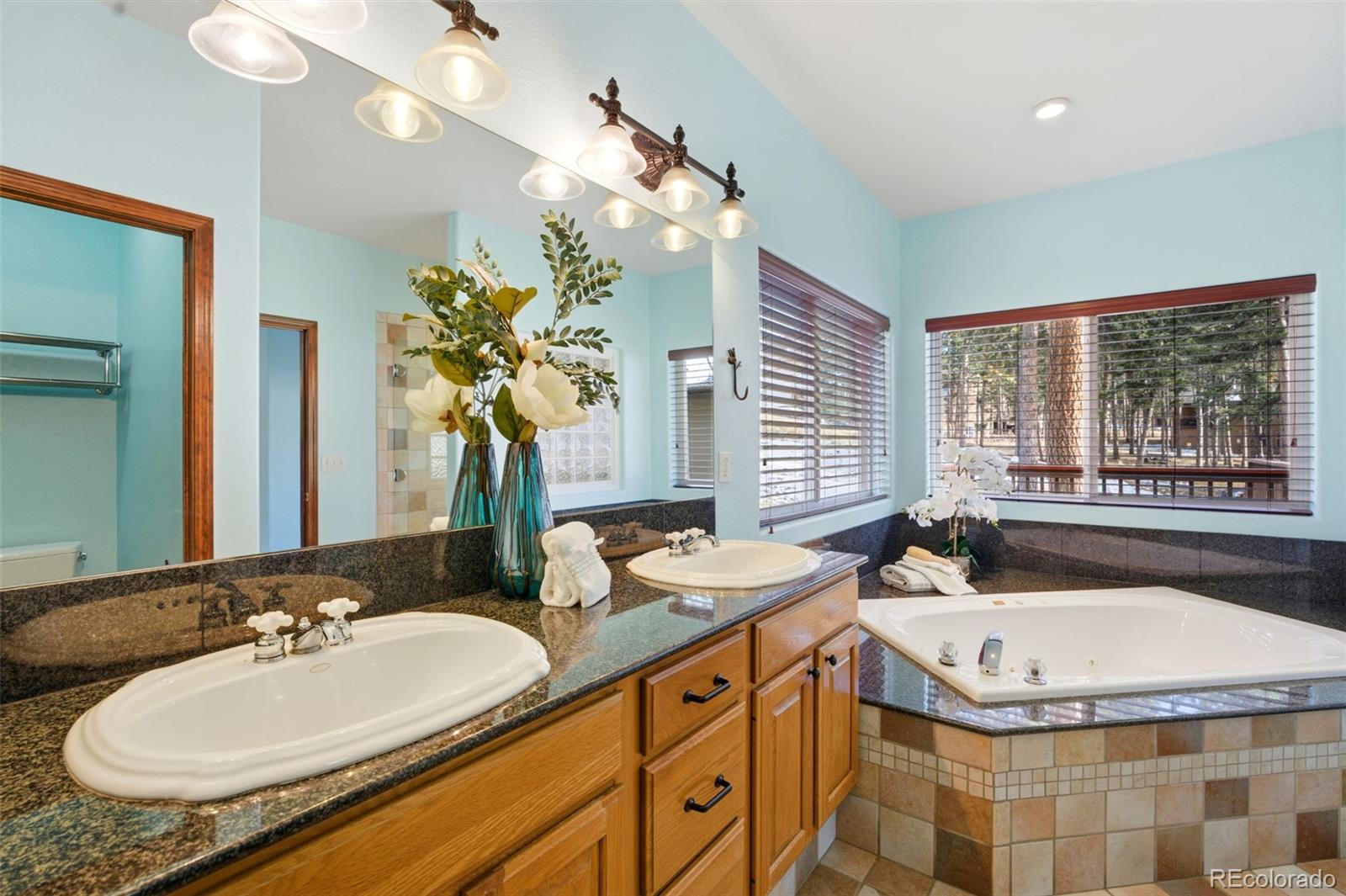 MLS Image #15 for 665  pembrook drive,woodland park, Colorado