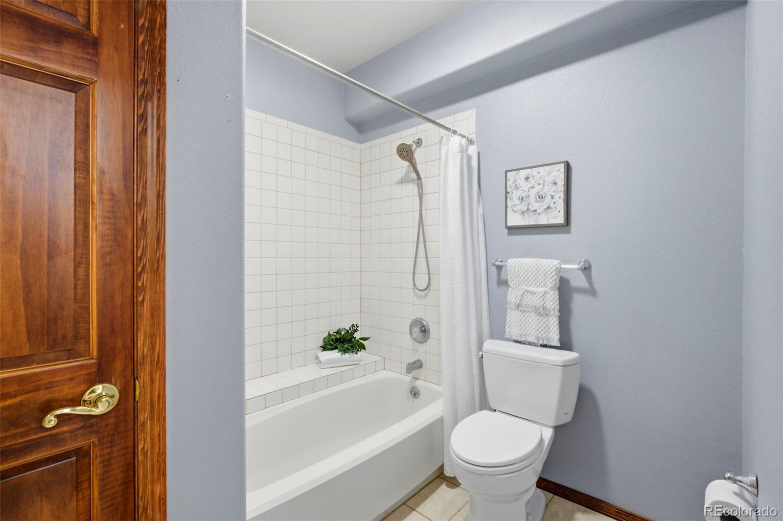 MLS Image #21 for 665  pembrook drive,woodland park, Colorado