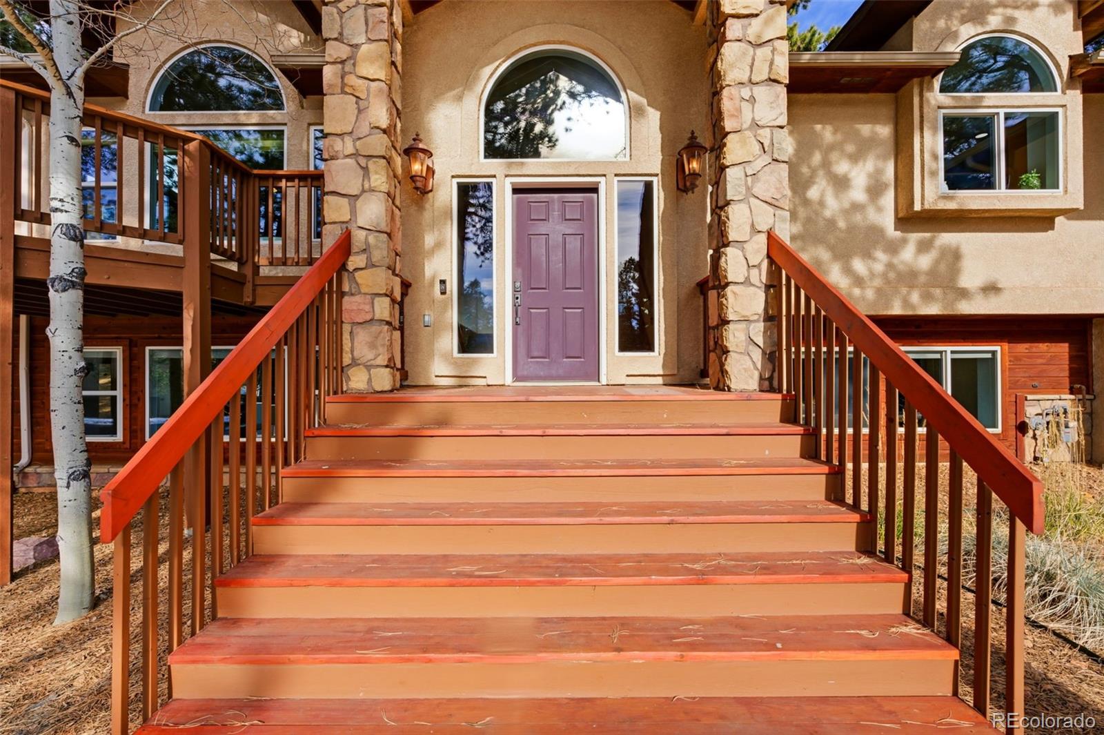 MLS Image #3 for 665  pembrook drive,woodland park, Colorado