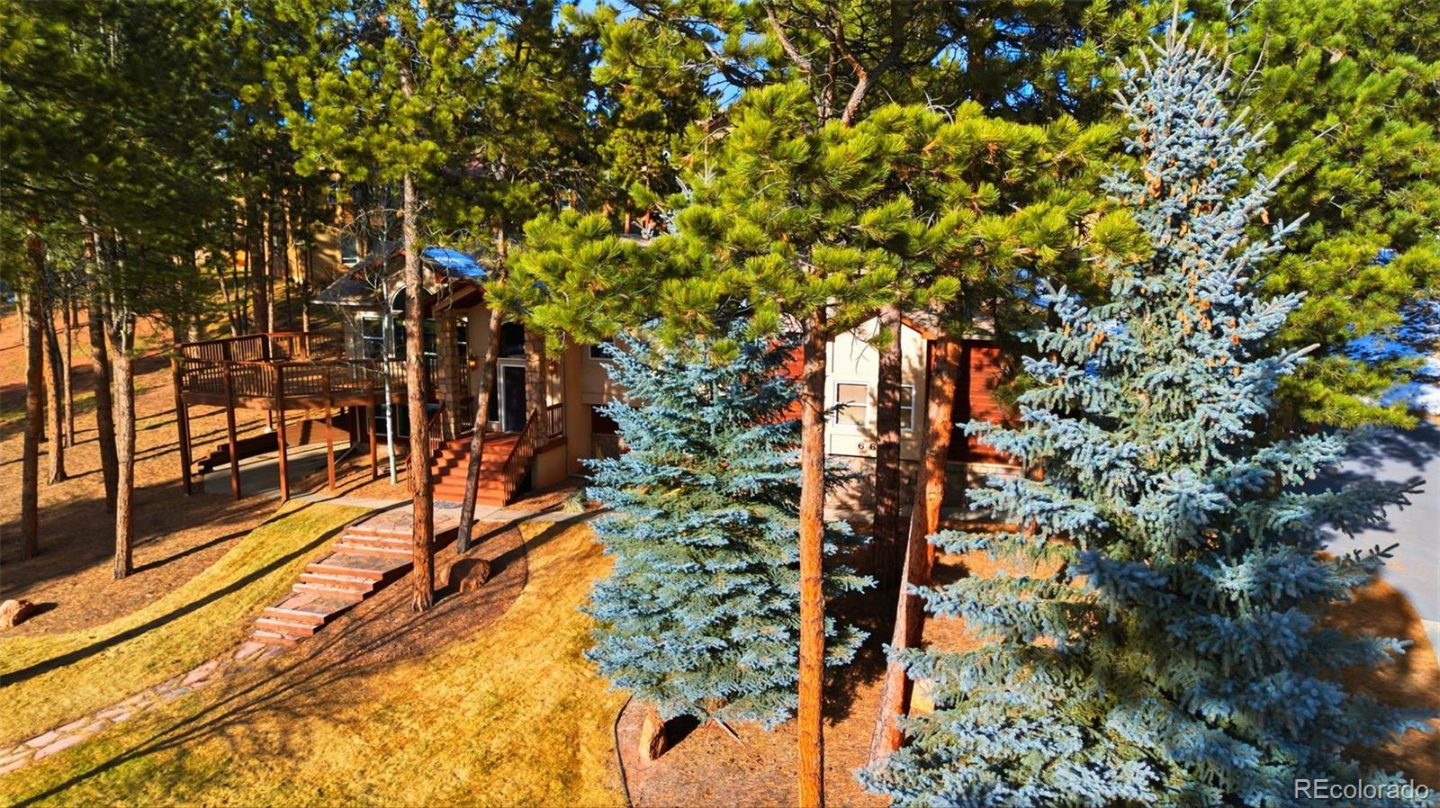MLS Image #37 for 665  pembrook drive,woodland park, Colorado