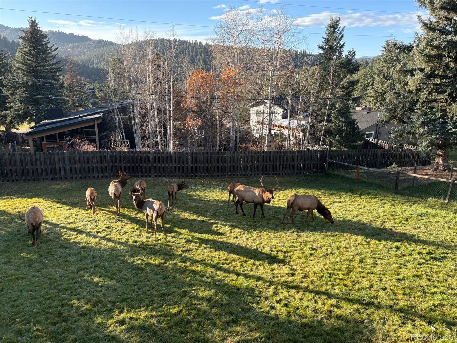 MLS Image #48 for 27906  lupine drive,evergreen, Colorado