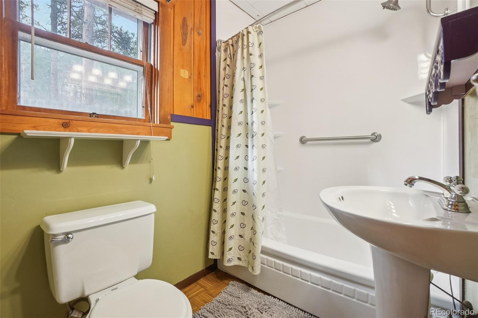 MLS Image #23 for 9025  picabo road,cascade, Colorado