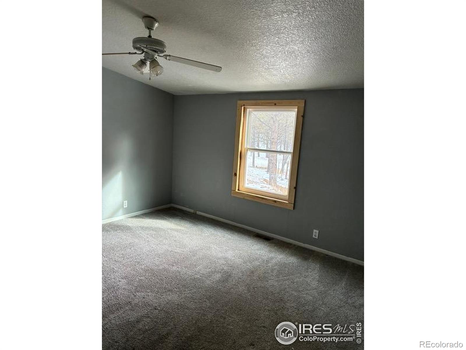 MLS Image #22 for 1759  arapahoe drive,florissant, Colorado
