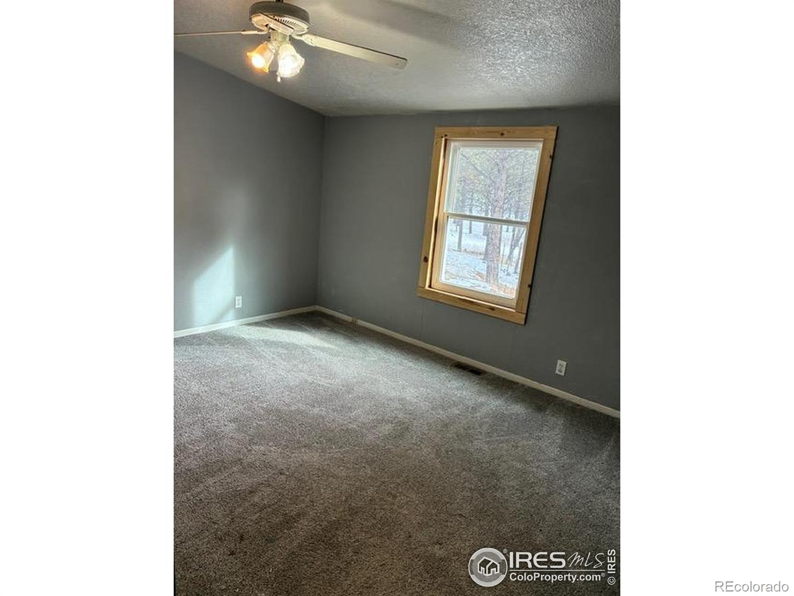 MLS Image #24 for 1759  arapahoe drive,florissant, Colorado