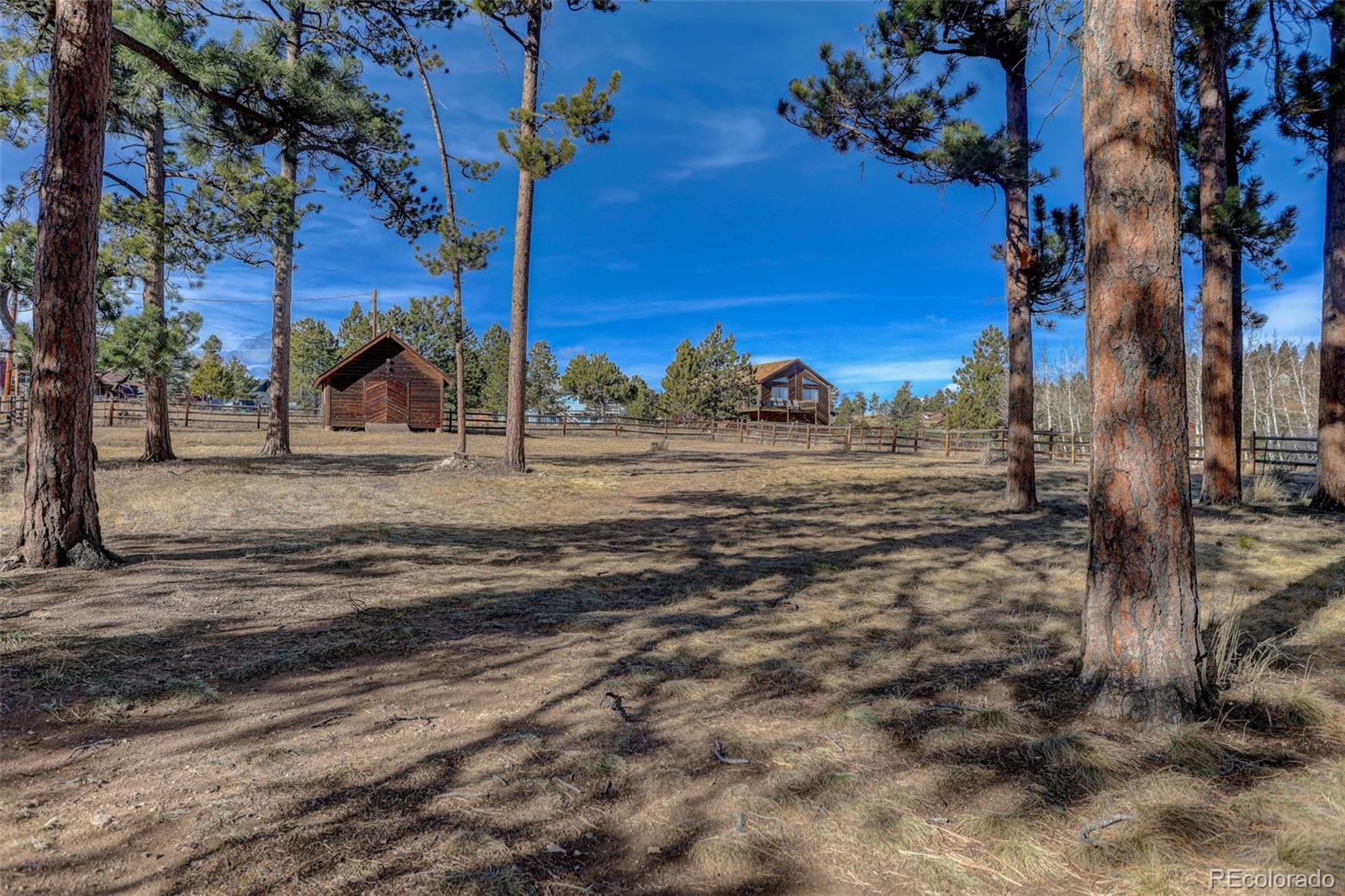 MLS Image #32 for 541  beaver trail,bailey, Colorado