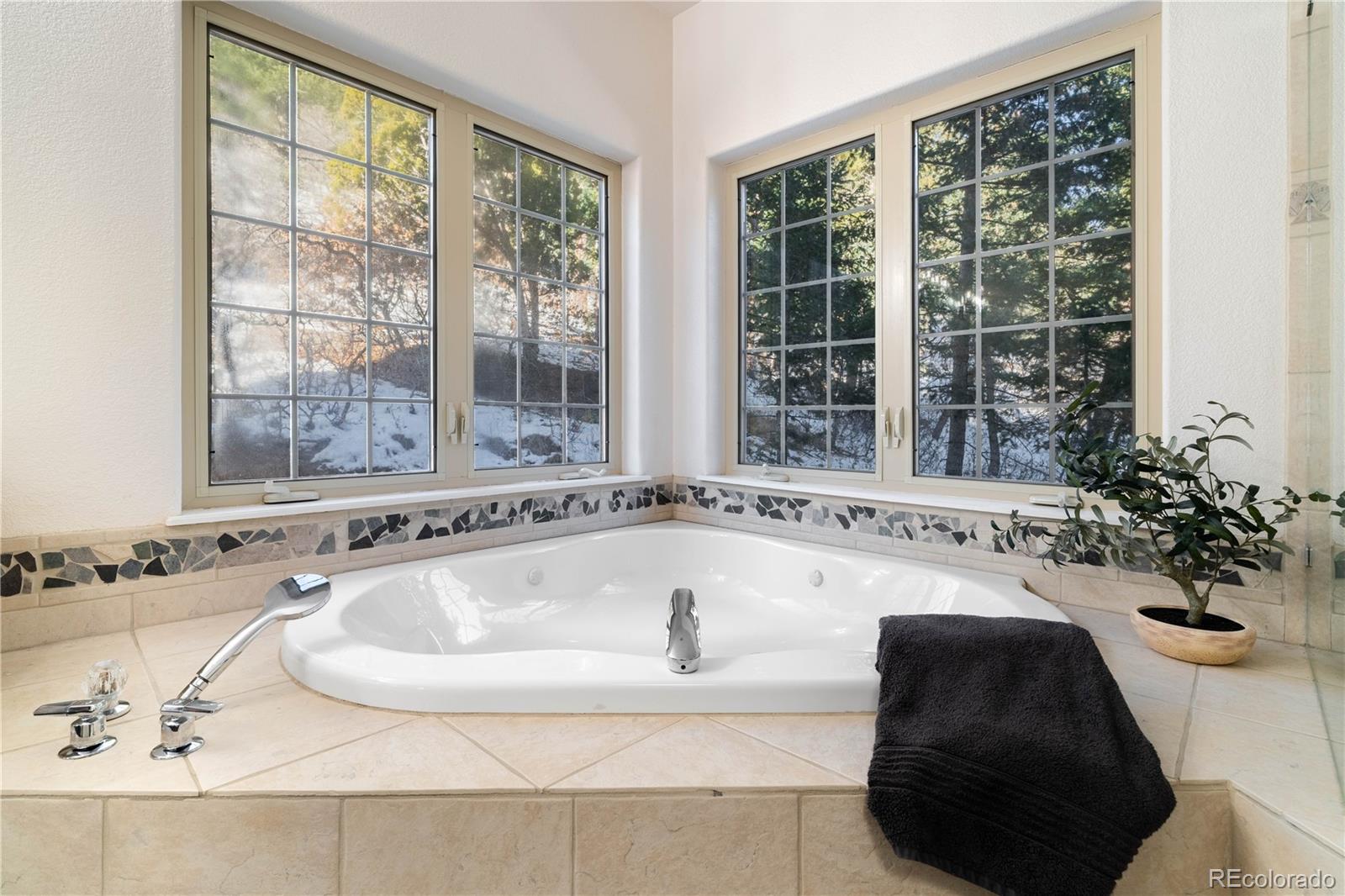 MLS Image #23 for 1344  sun valley lane,manitou springs, Colorado