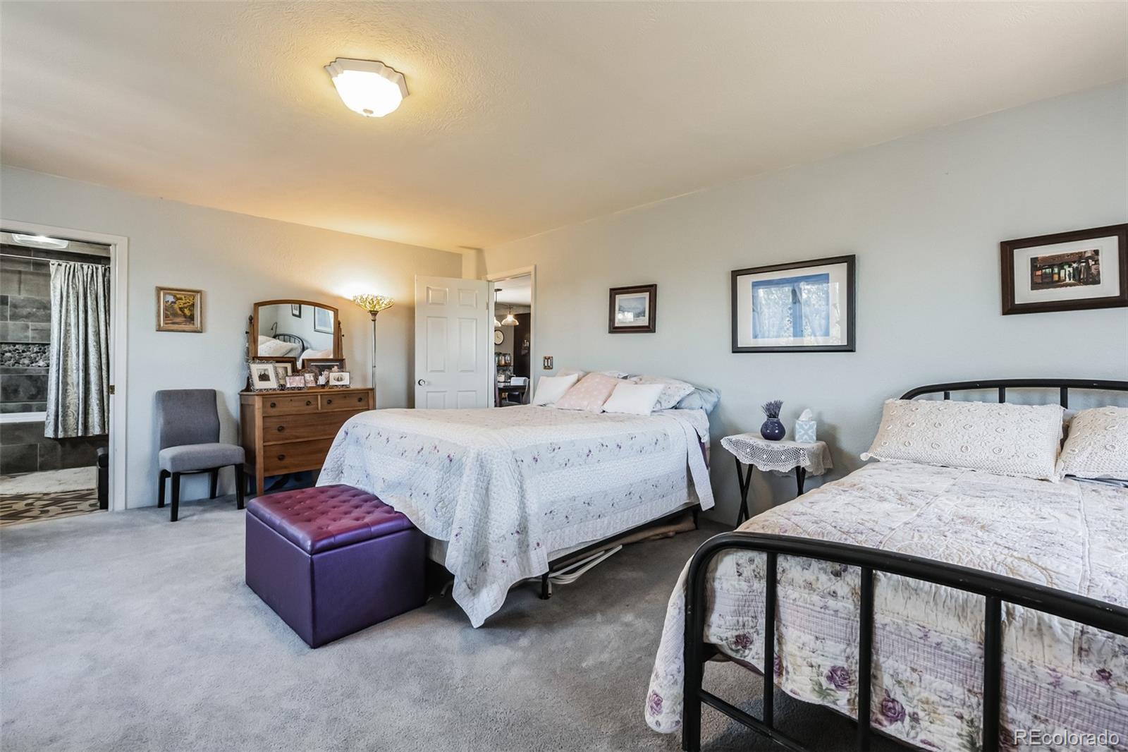 MLS Image #13 for 7882  combs road,fort garland, Colorado