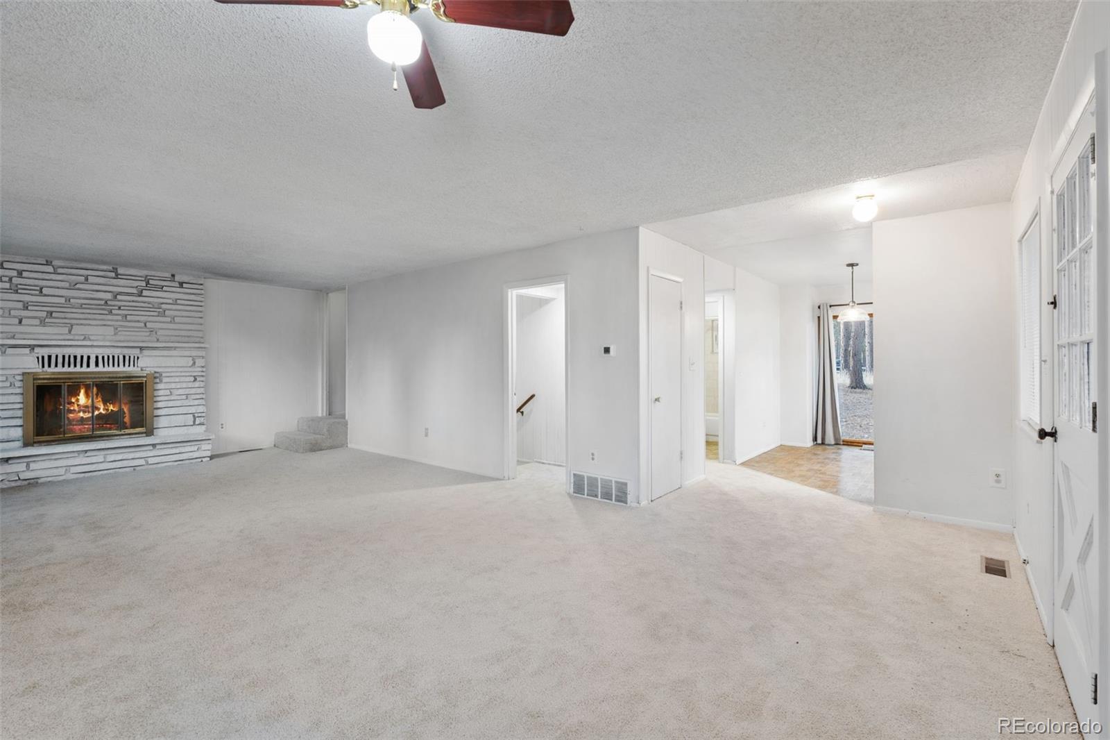 MLS Image #14 for 832  spring valley drive,divide, Colorado