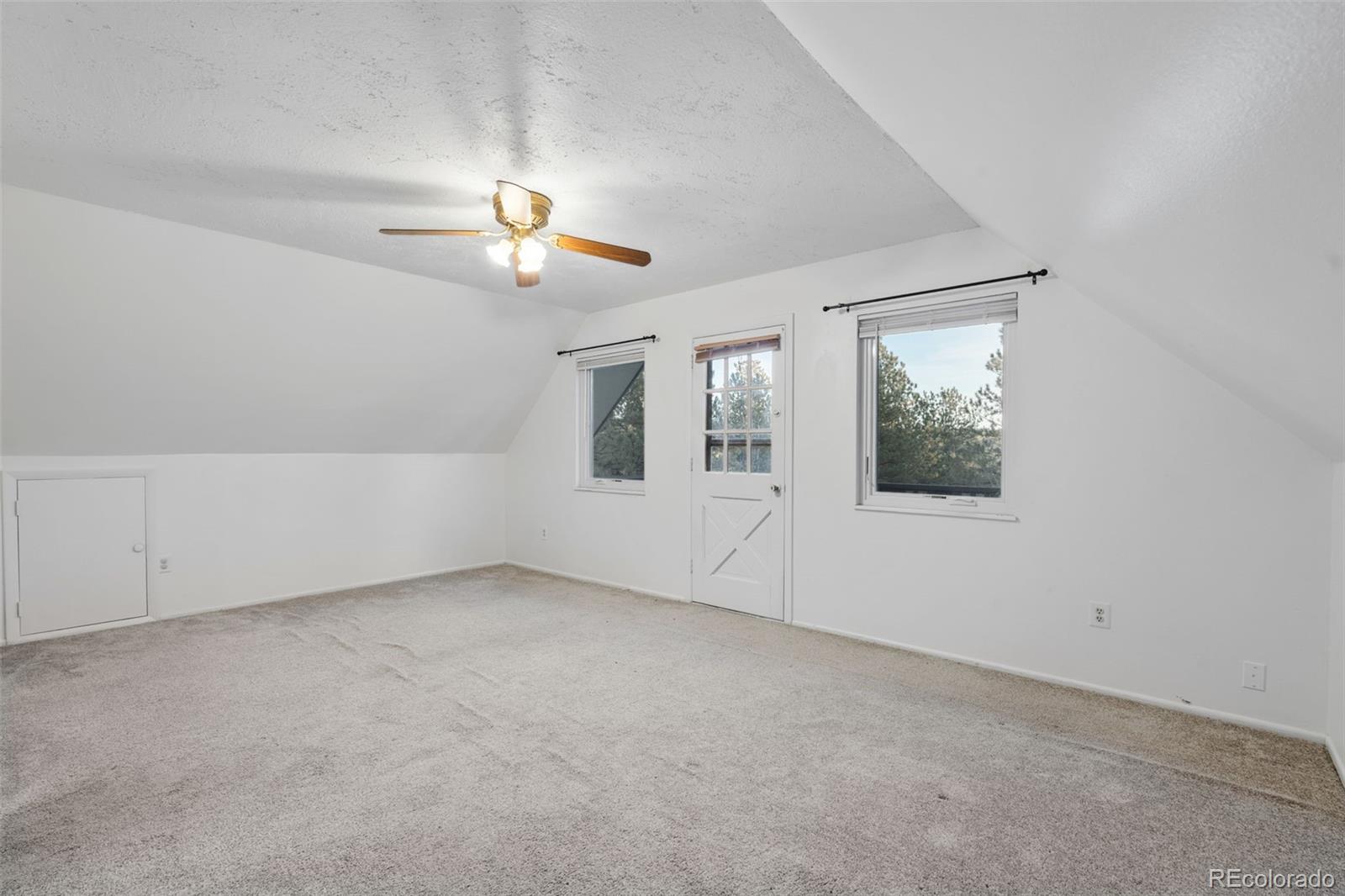 MLS Image #22 for 832  spring valley drive,divide, Colorado