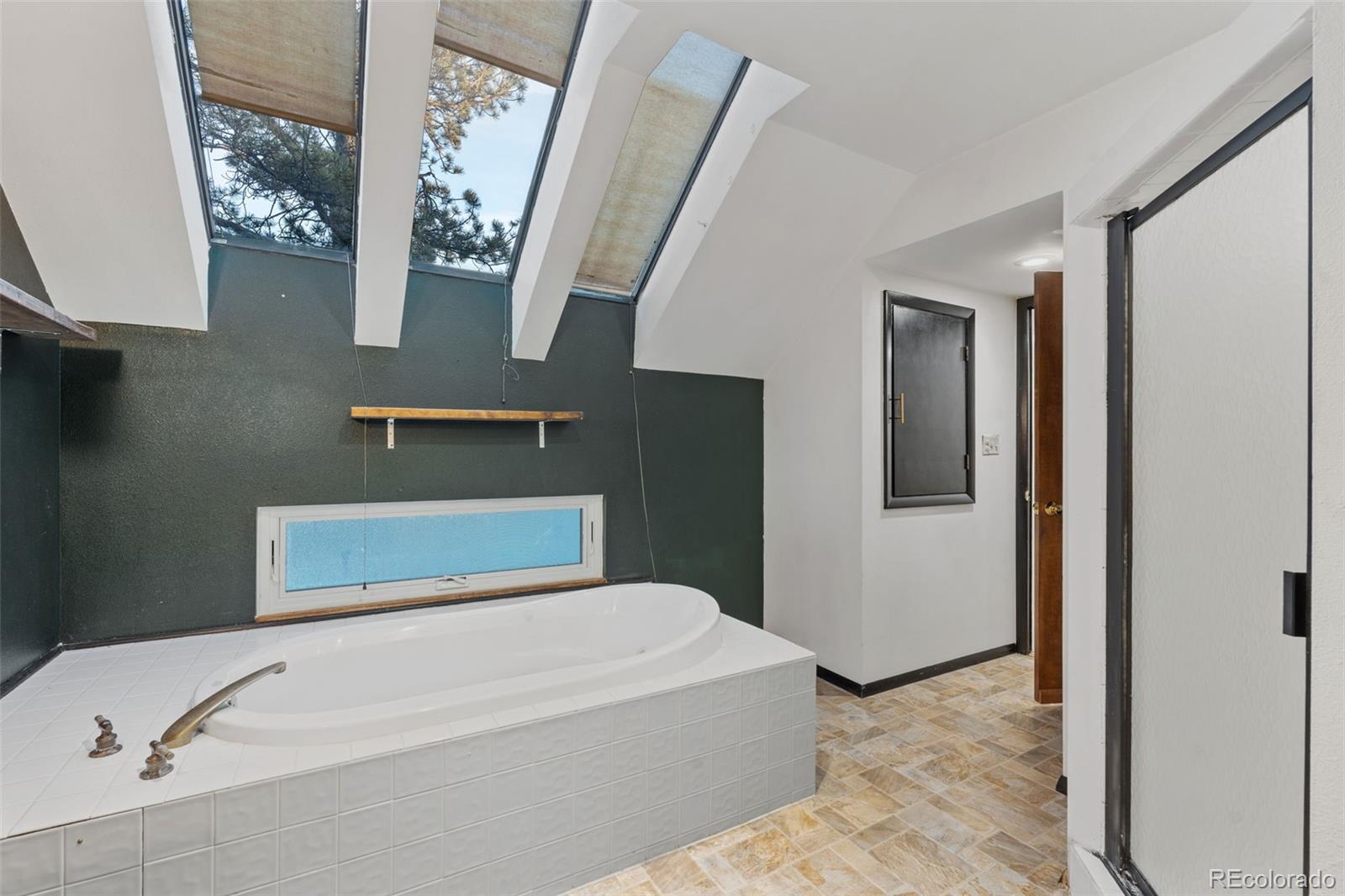 MLS Image #24 for 832  spring valley drive,divide, Colorado