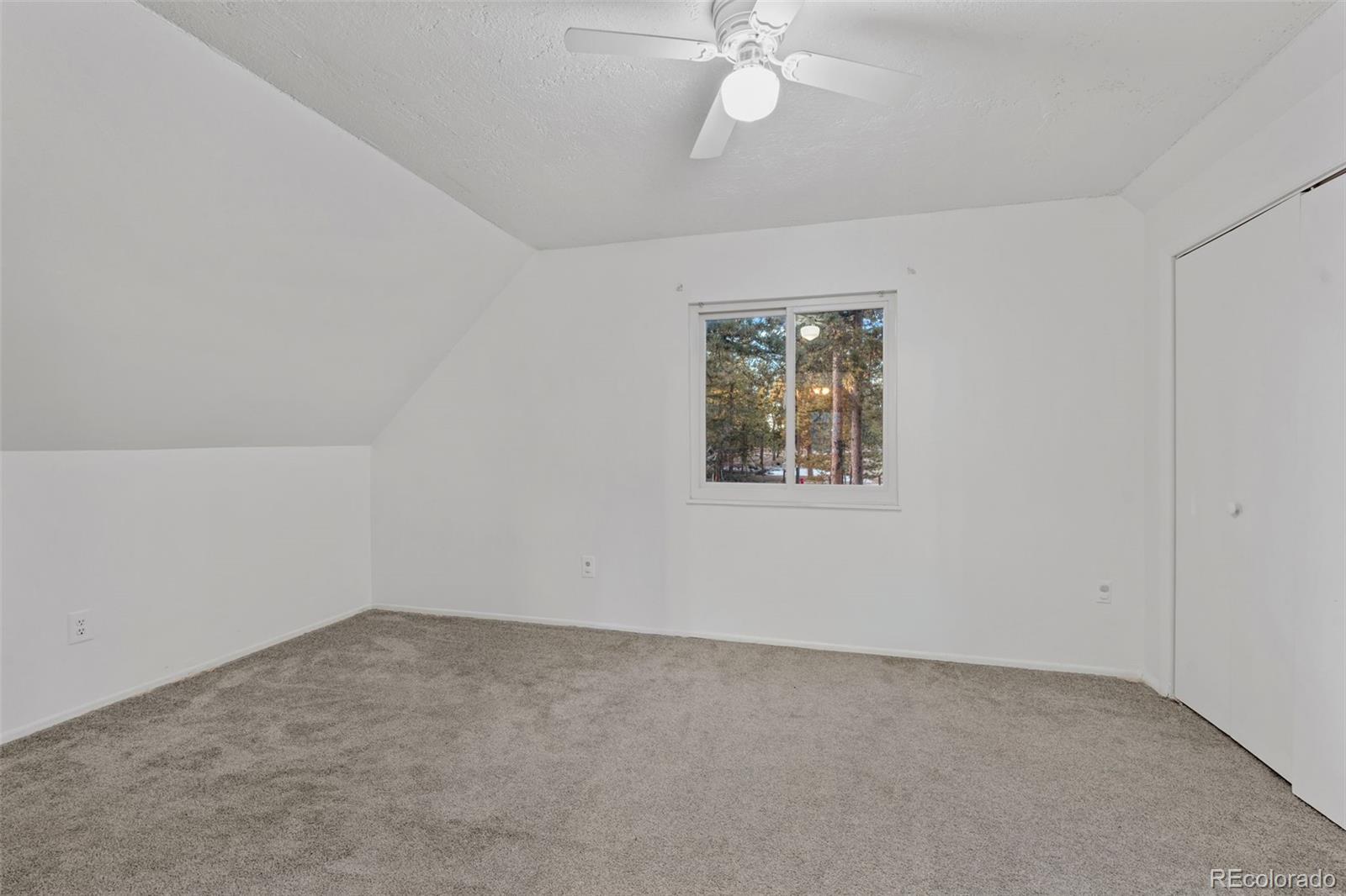 MLS Image #26 for 832  spring valley drive,divide, Colorado