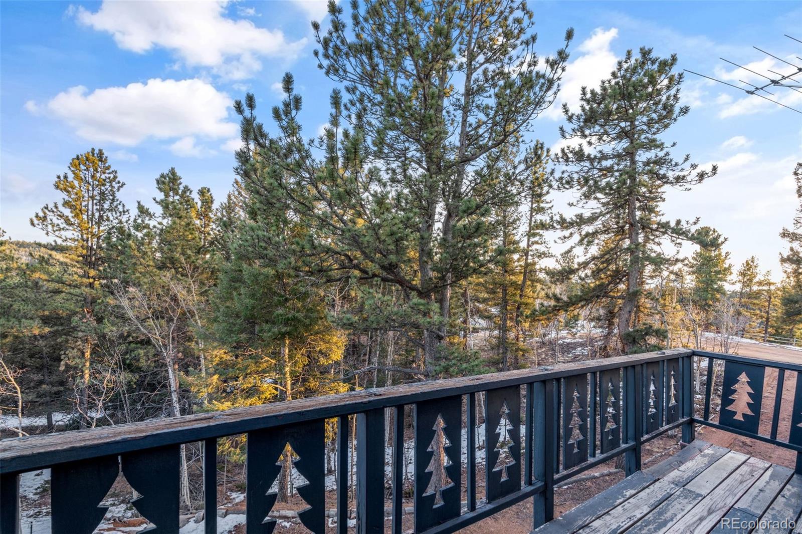 MLS Image #37 for 832  spring valley drive,divide, Colorado