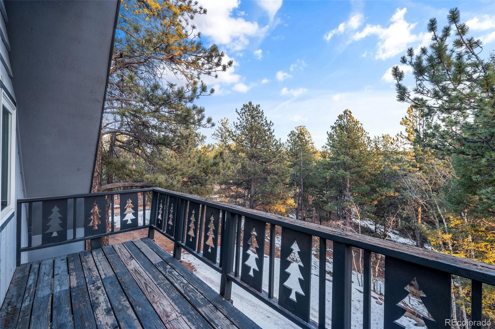 MLS Image #38 for 832  spring valley drive,divide, Colorado