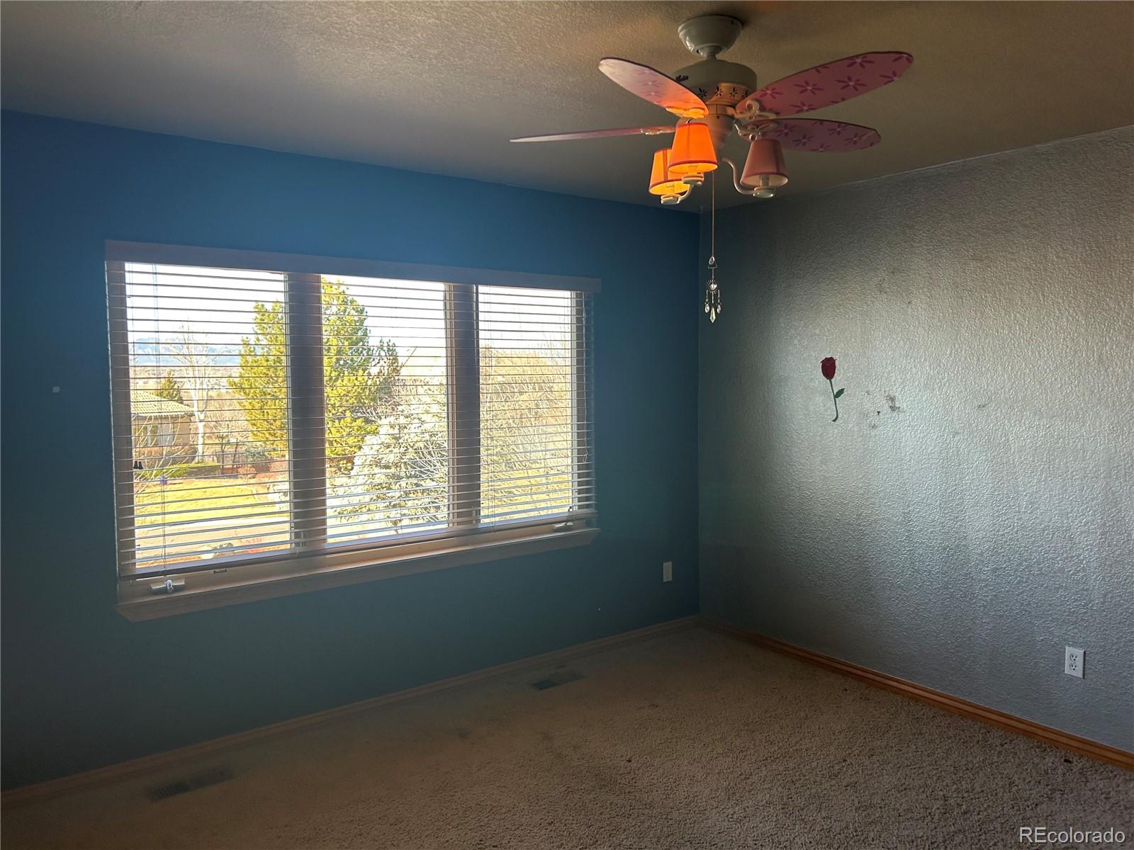 MLS Image #28 for 11426  eliot court,westminster, Colorado