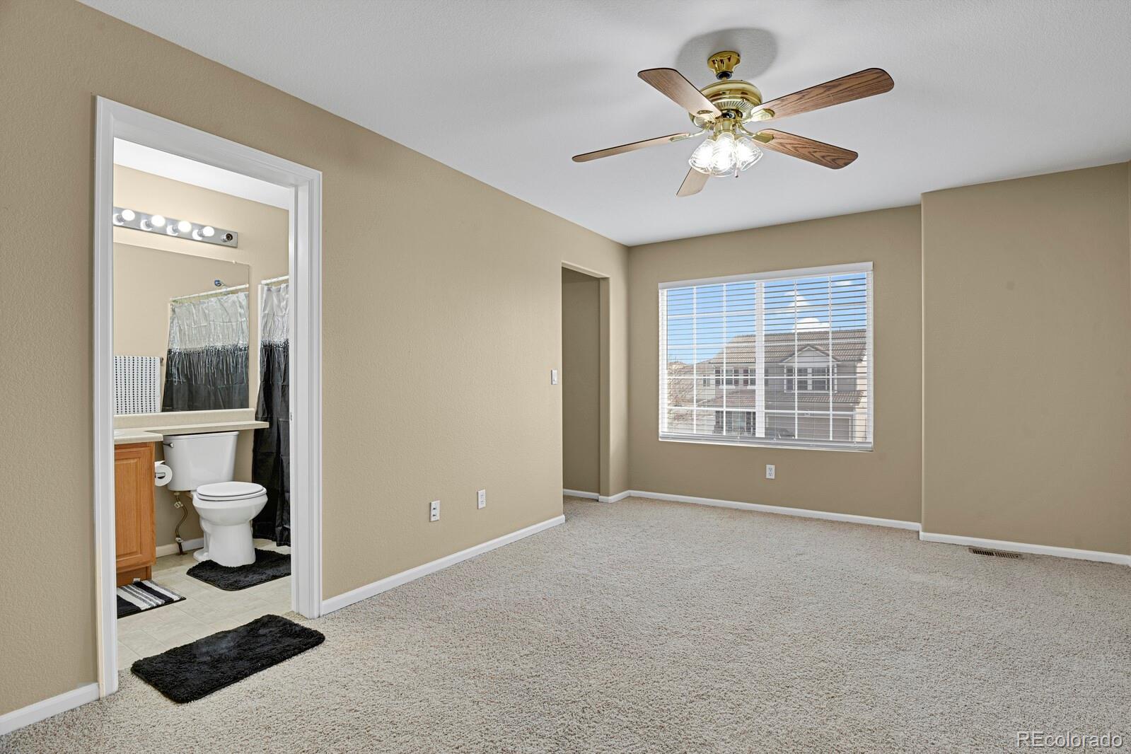 MLS Image #16 for 21507 e 43rd place,denver, Colorado