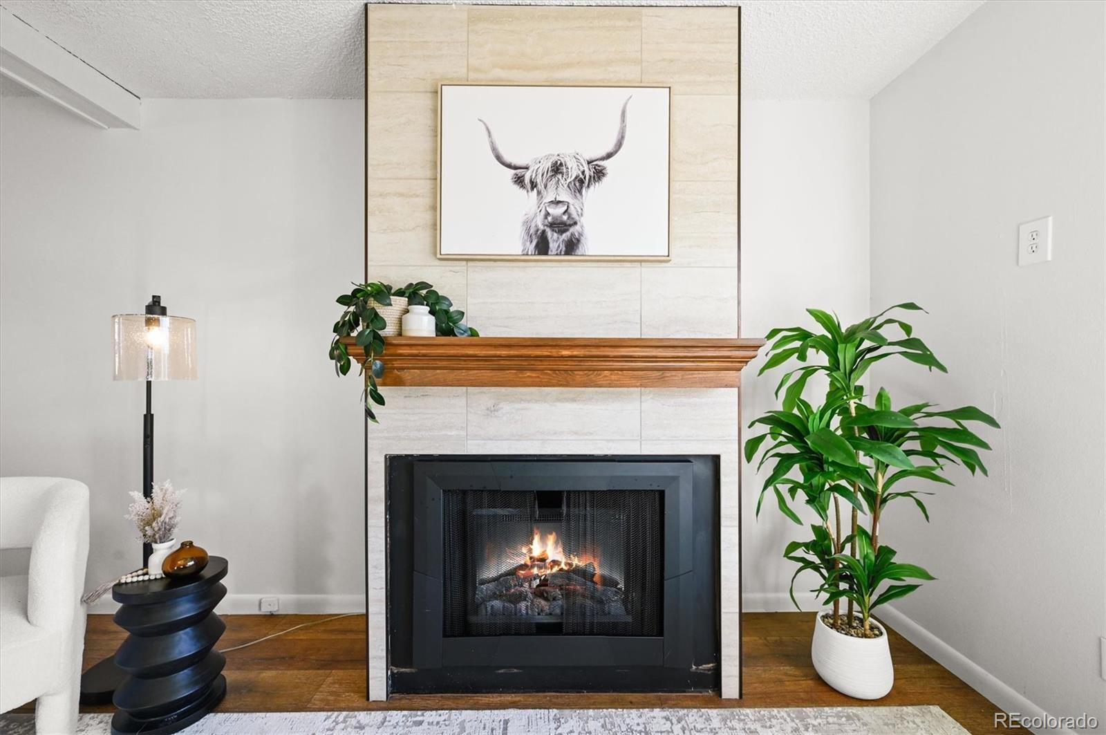 MLS Image #4 for 7137 s webster street,littleton, Colorado