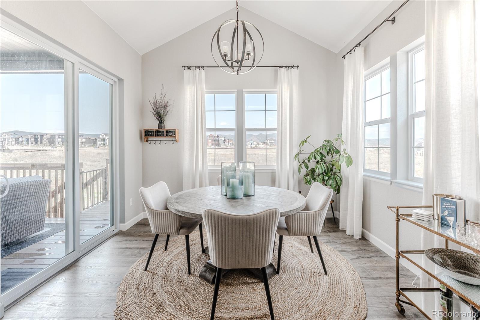 MLS Image #10 for 8839  animas river street,littleton, Colorado