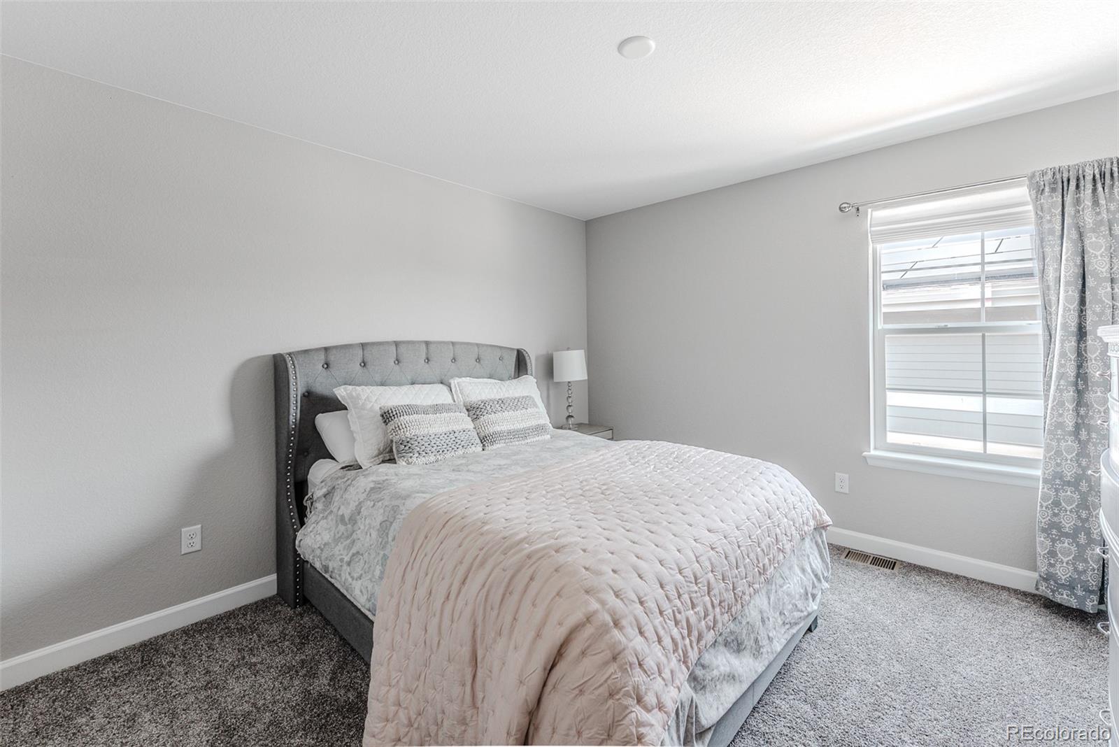 MLS Image #28 for 8839  animas river street,littleton, Colorado