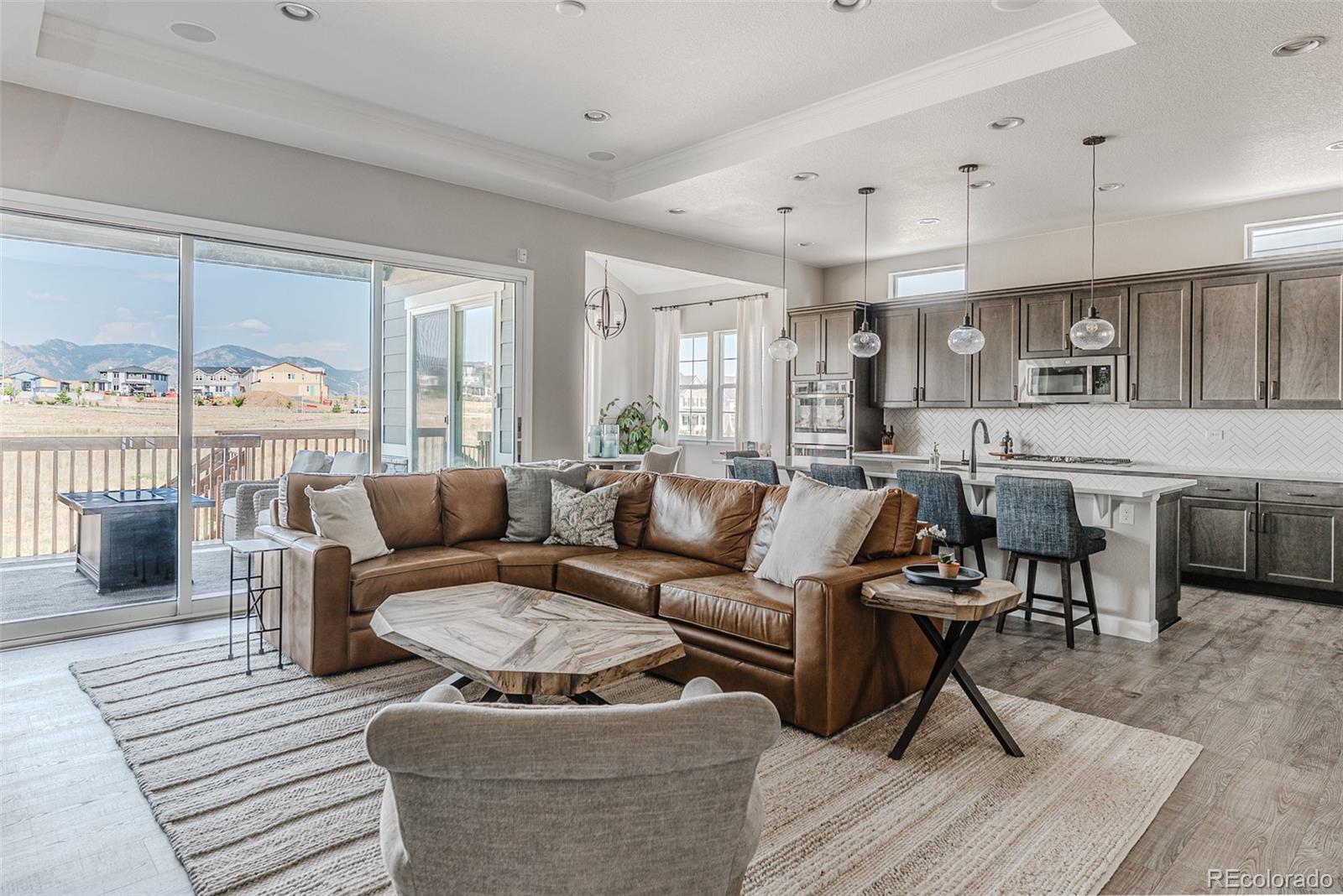MLS Image #3 for 8839  animas river street,littleton, Colorado
