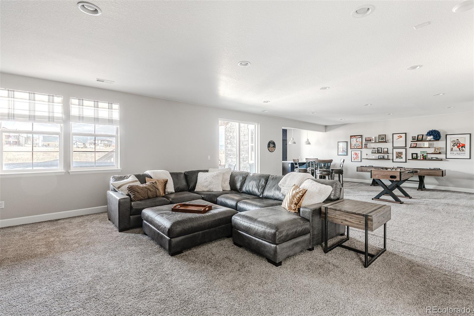 MLS Image #31 for 8839  animas river street,littleton, Colorado