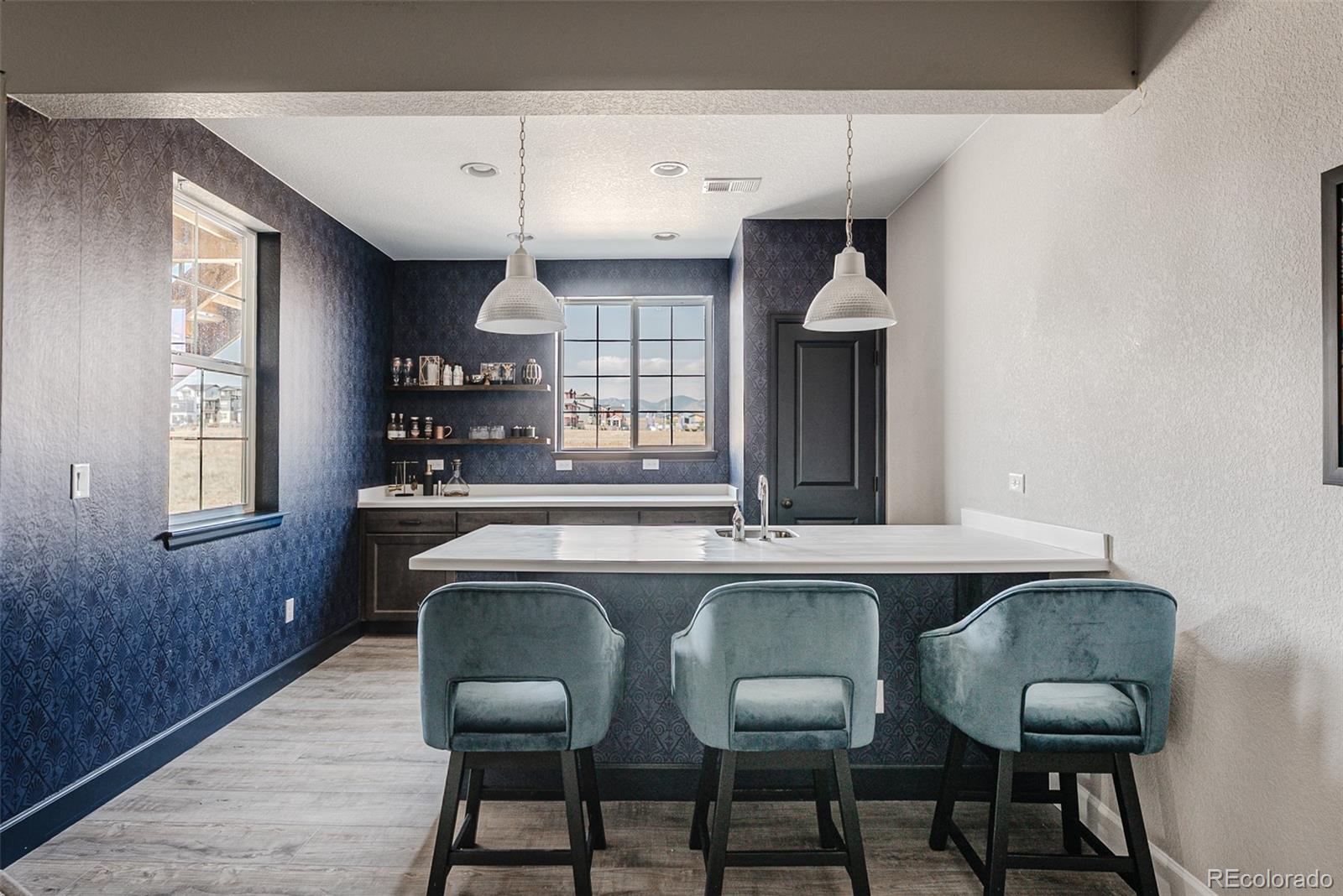 MLS Image #34 for 8839  animas river street,littleton, Colorado