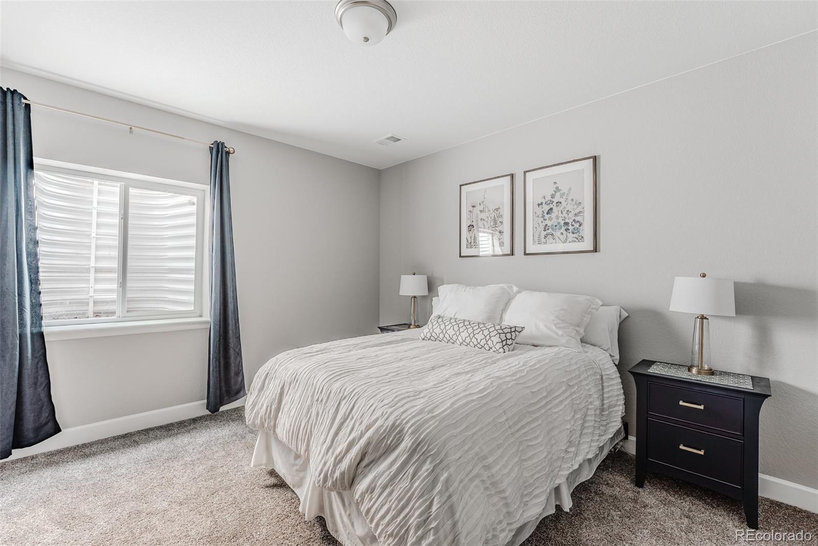 MLS Image #37 for 8839  animas river street,littleton, Colorado