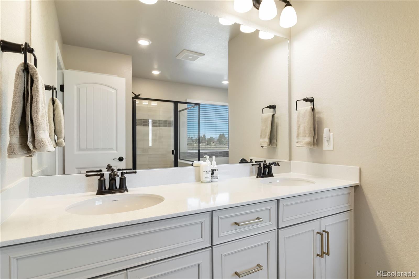 MLS Image #29 for 13485  tree sparrow lane,parker, Colorado