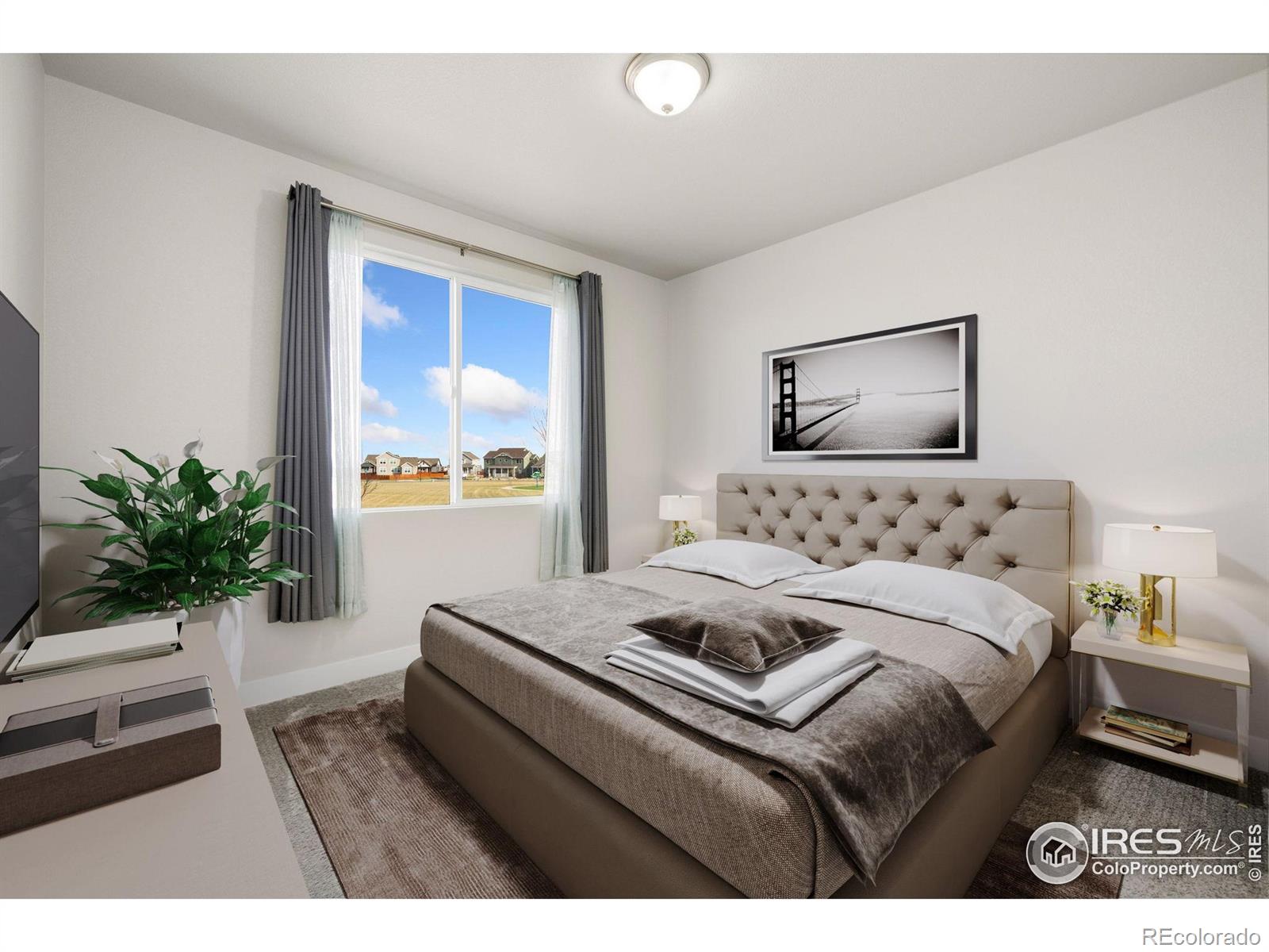 MLS Image #5 for 3358  picasso drive,loveland, Colorado