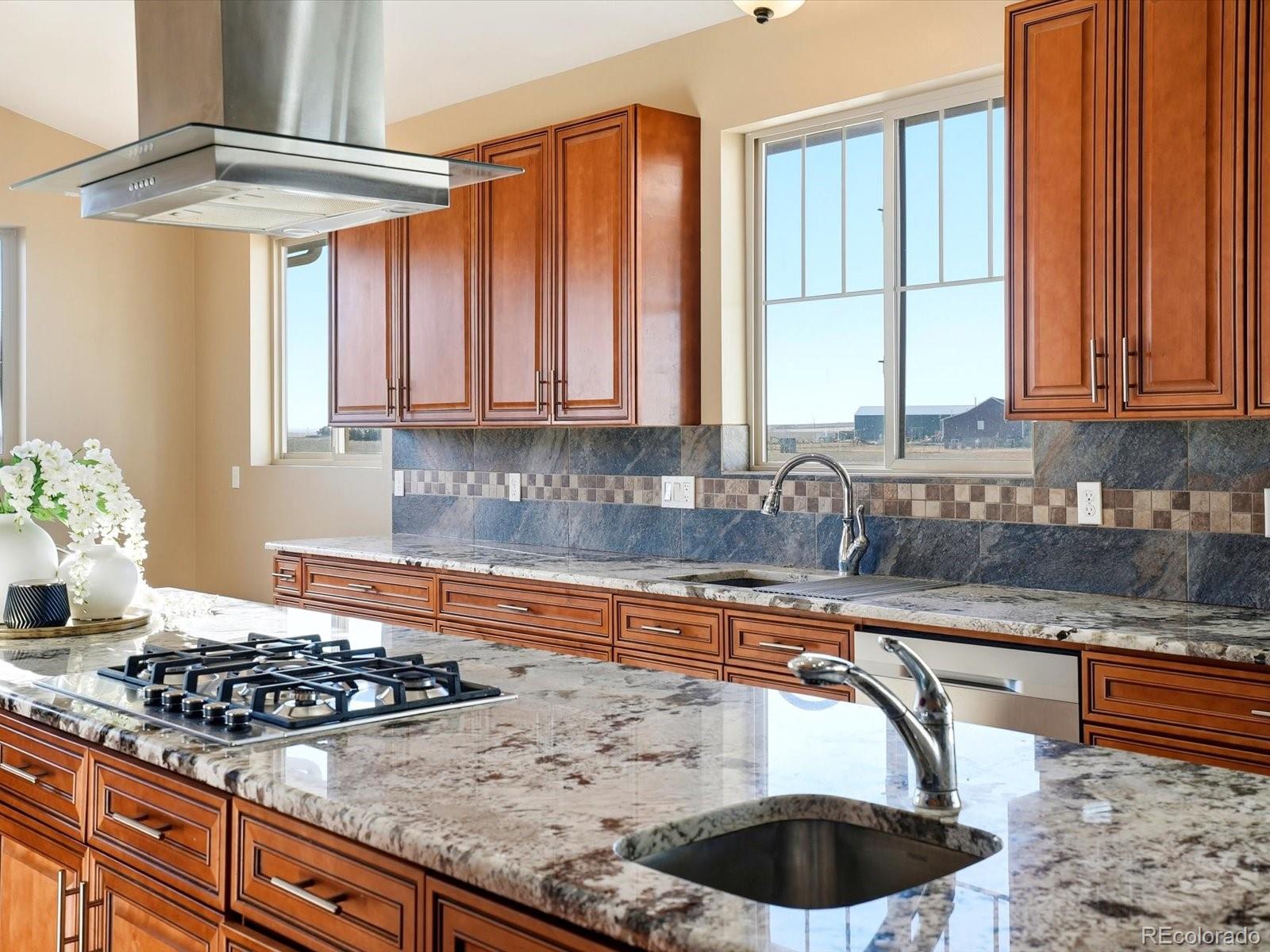 MLS Image #13 for 14077  indianfield court,hudson, Colorado