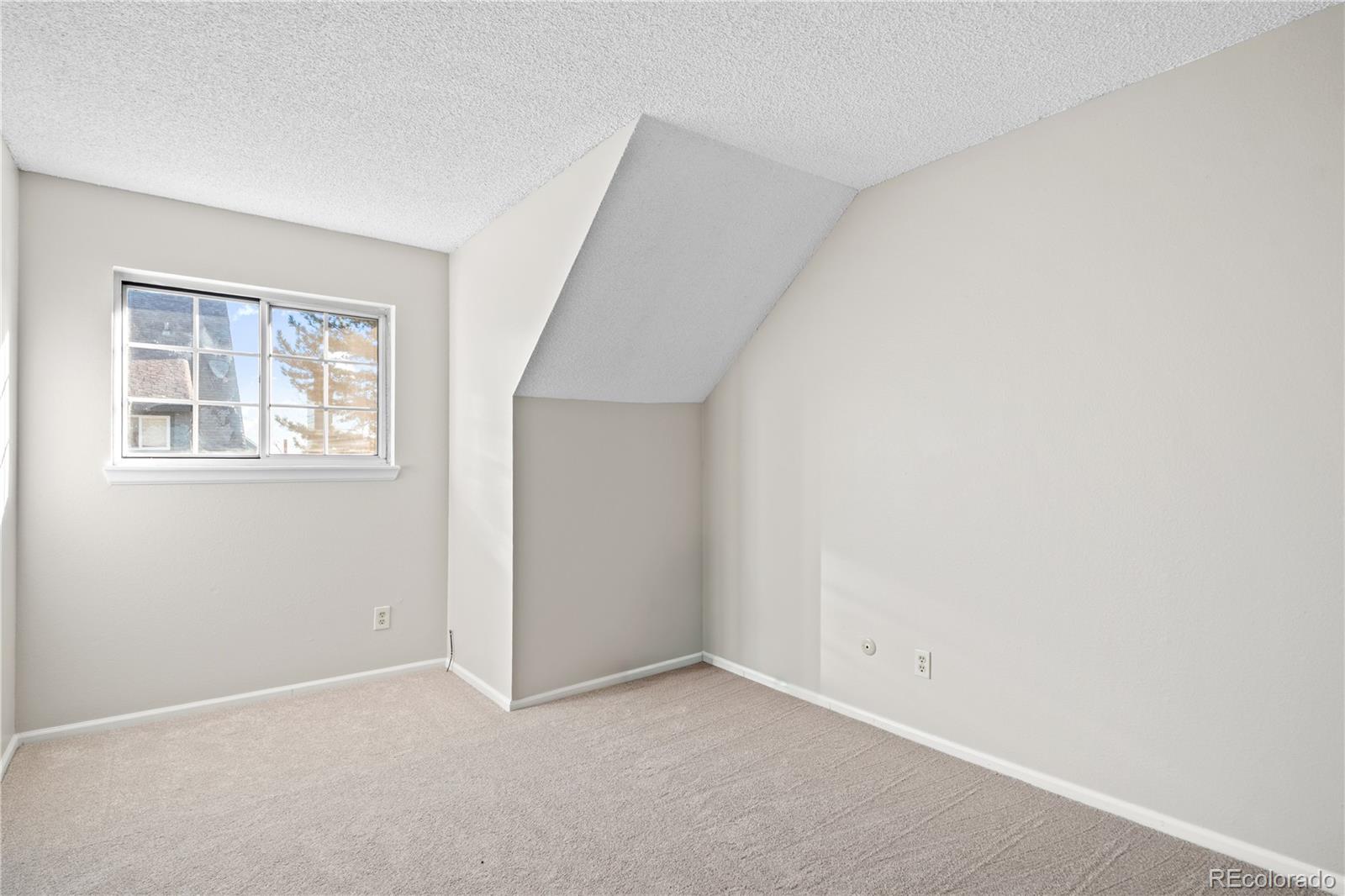 MLS Image #18 for 10351  red mountain ,littleton, Colorado
