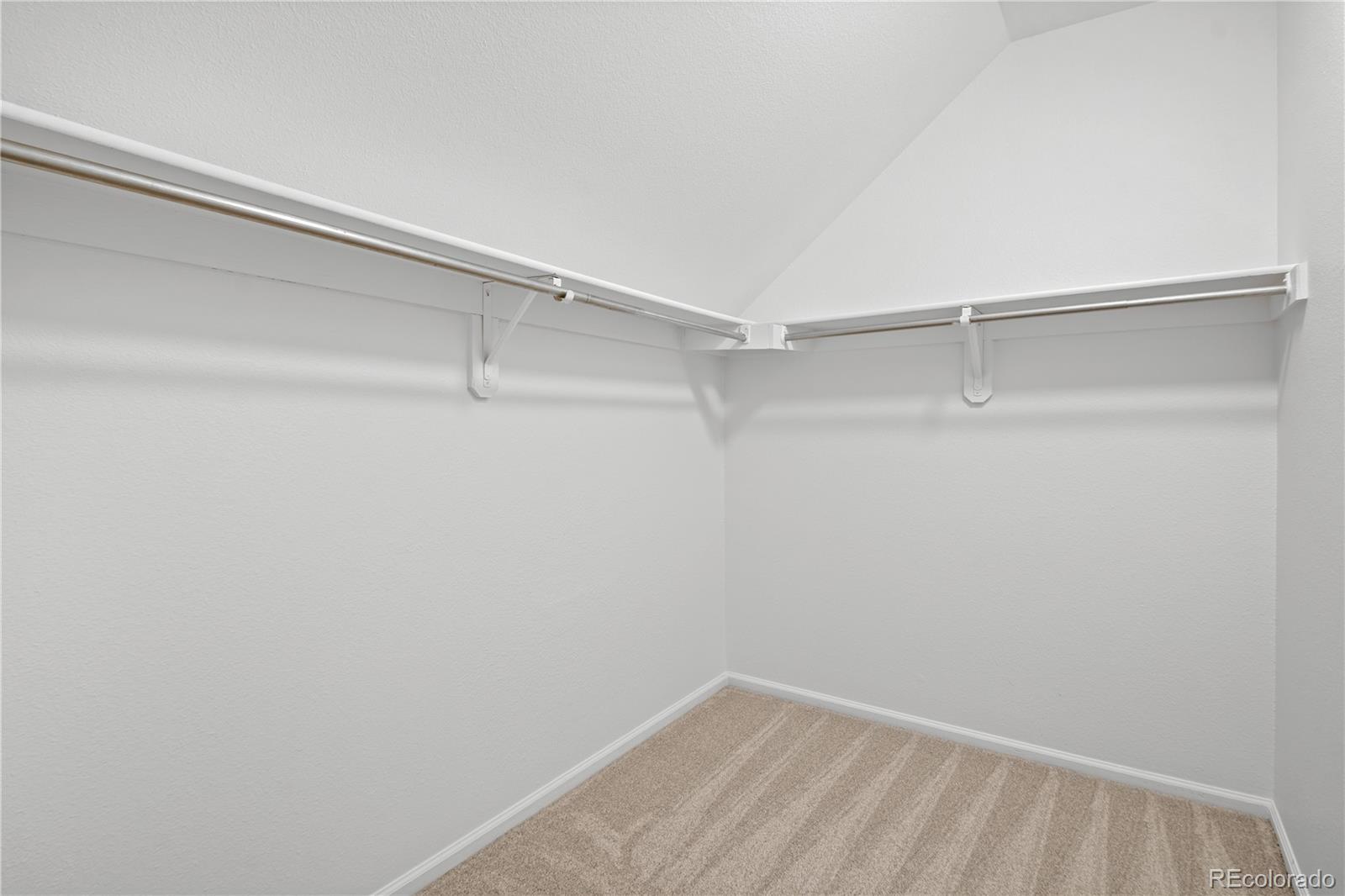 MLS Image #22 for 10351  red mountain ,littleton, Colorado