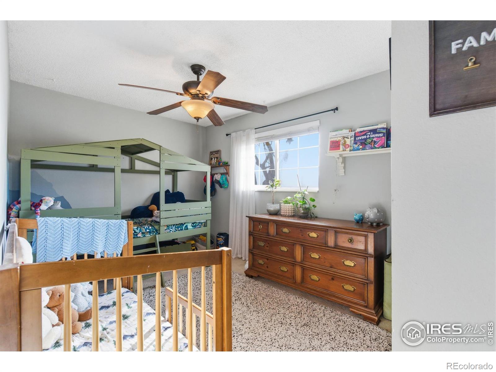 MLS Image #14 for 216  gary drive,fort collins, Colorado