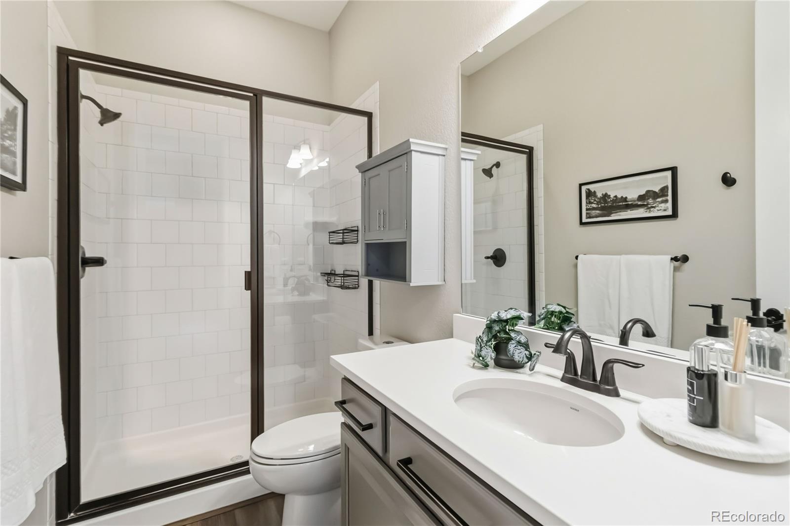 MLS Image #22 for 3117  keepsake way,castle rock, Colorado