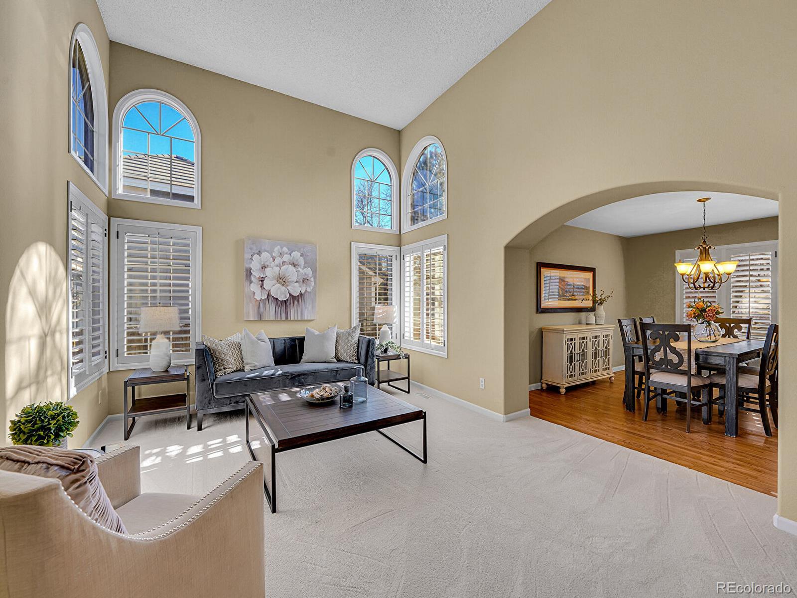 MLS Image #8 for 930 w dry creek road,littleton, Colorado