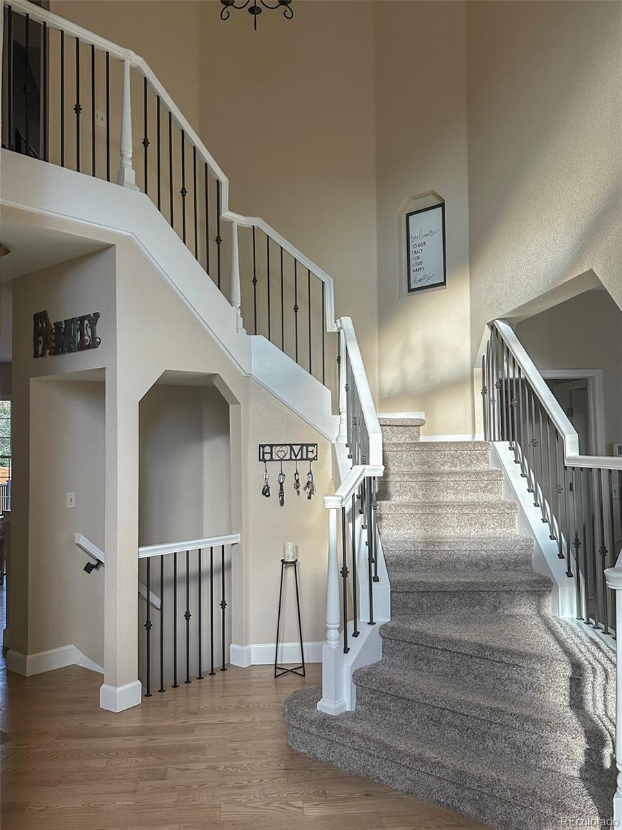 MLS Image #12 for 64  dawn heath circle,littleton, Colorado