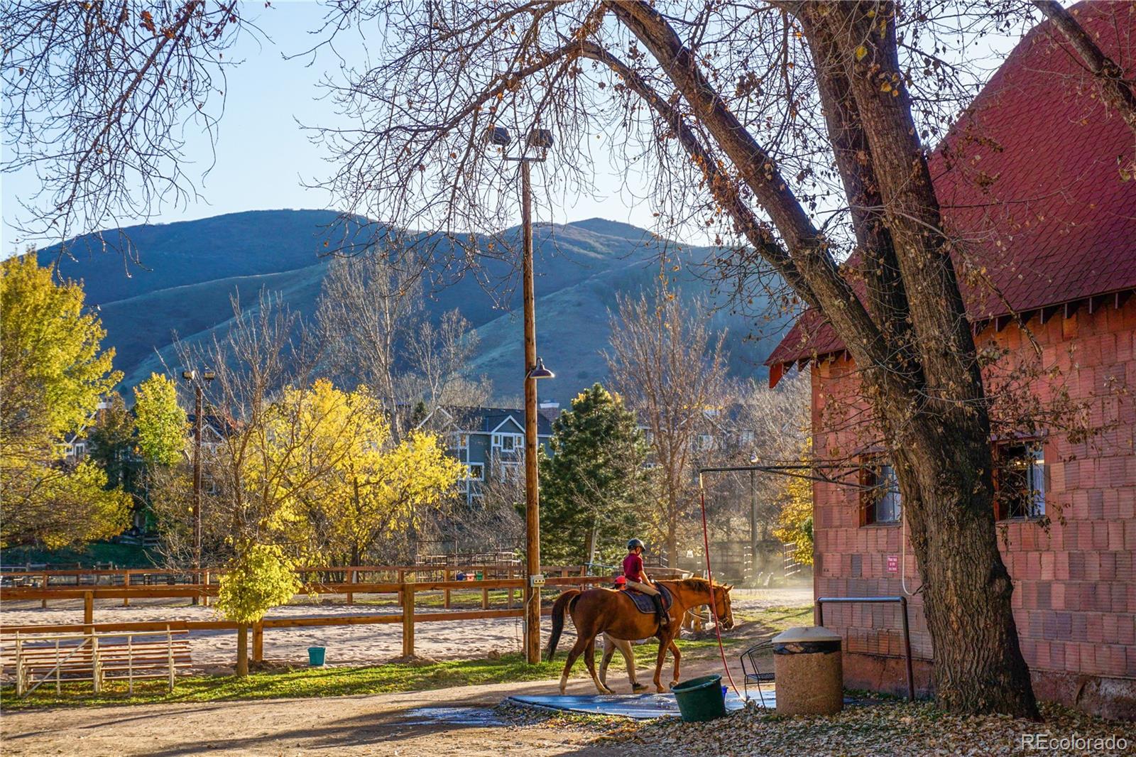 MLS Image #42 for 64  dawn heath circle,littleton, Colorado