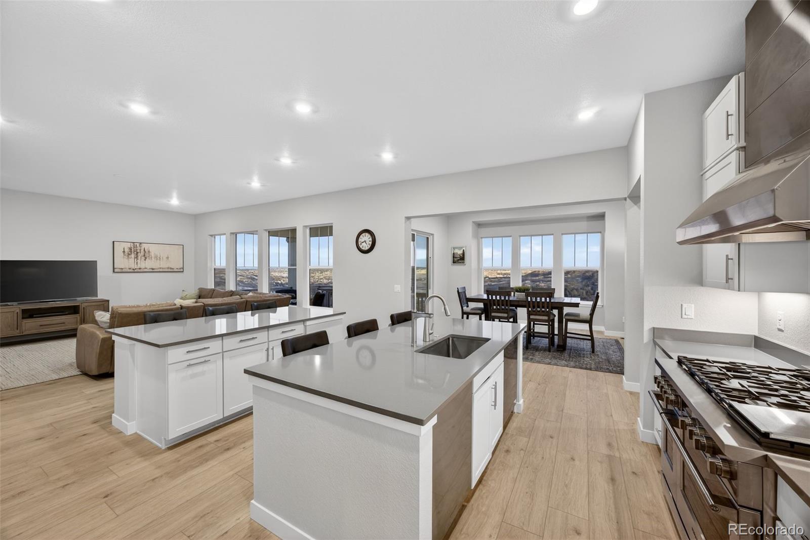 MLS Image #10 for 3953  treadway point,castle rock, Colorado