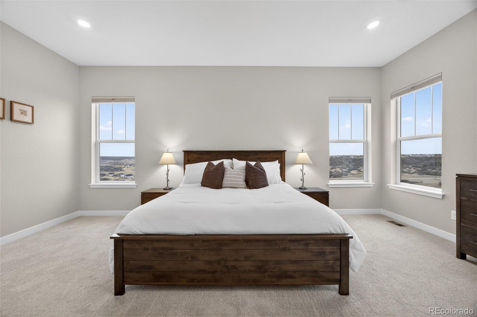 MLS Image #18 for 3953  treadway point,castle rock, Colorado