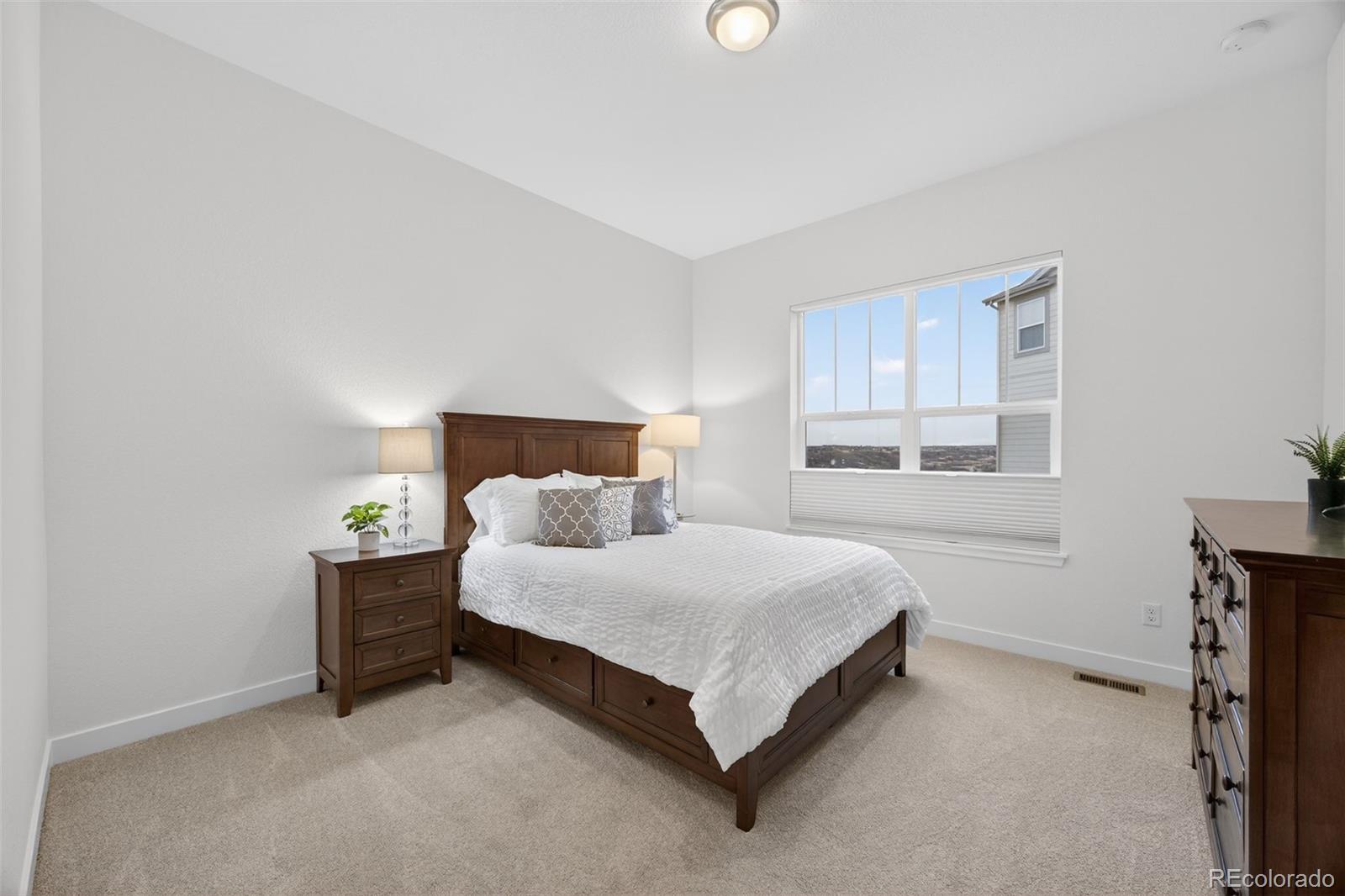 MLS Image #25 for 3953  treadway point,castle rock, Colorado