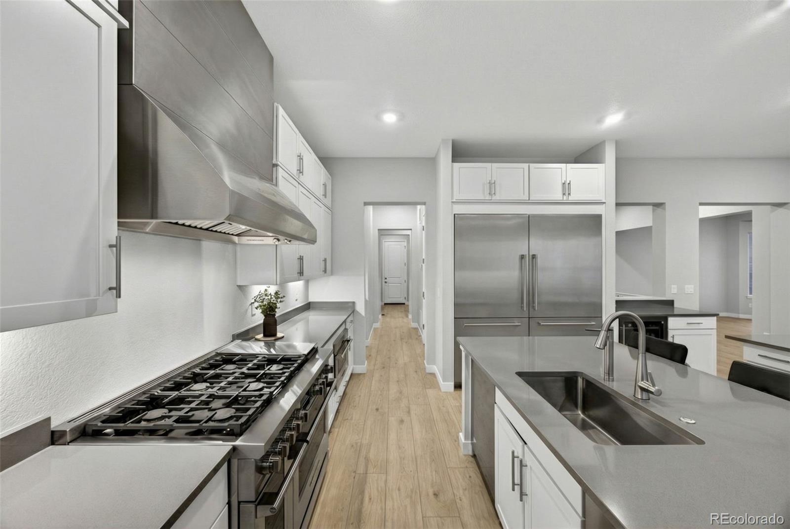 MLS Image #7 for 3953  treadway point,castle rock, Colorado