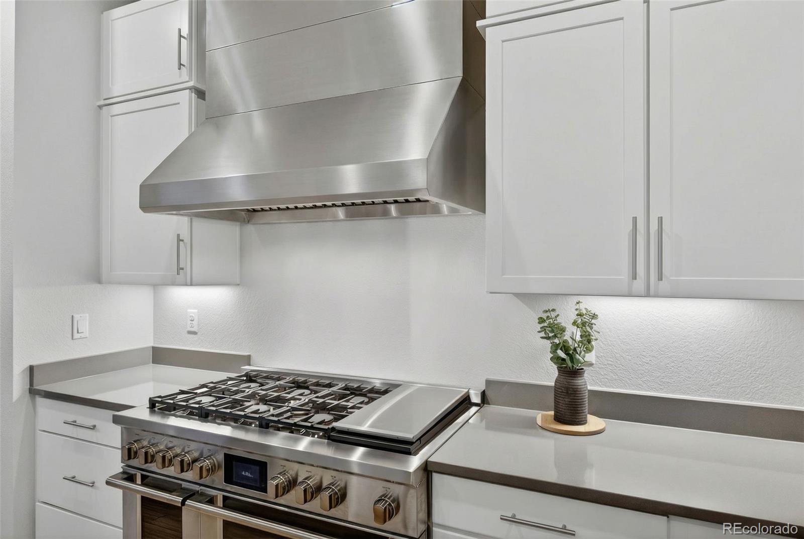 MLS Image #8 for 3953  treadway point,castle rock, Colorado