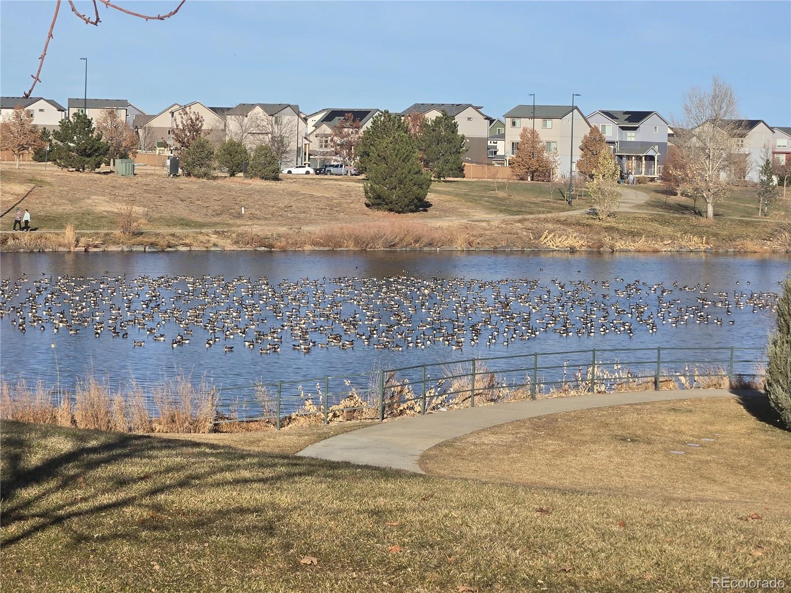 MLS Image #27 for 4087 e orleans court,denver, Colorado