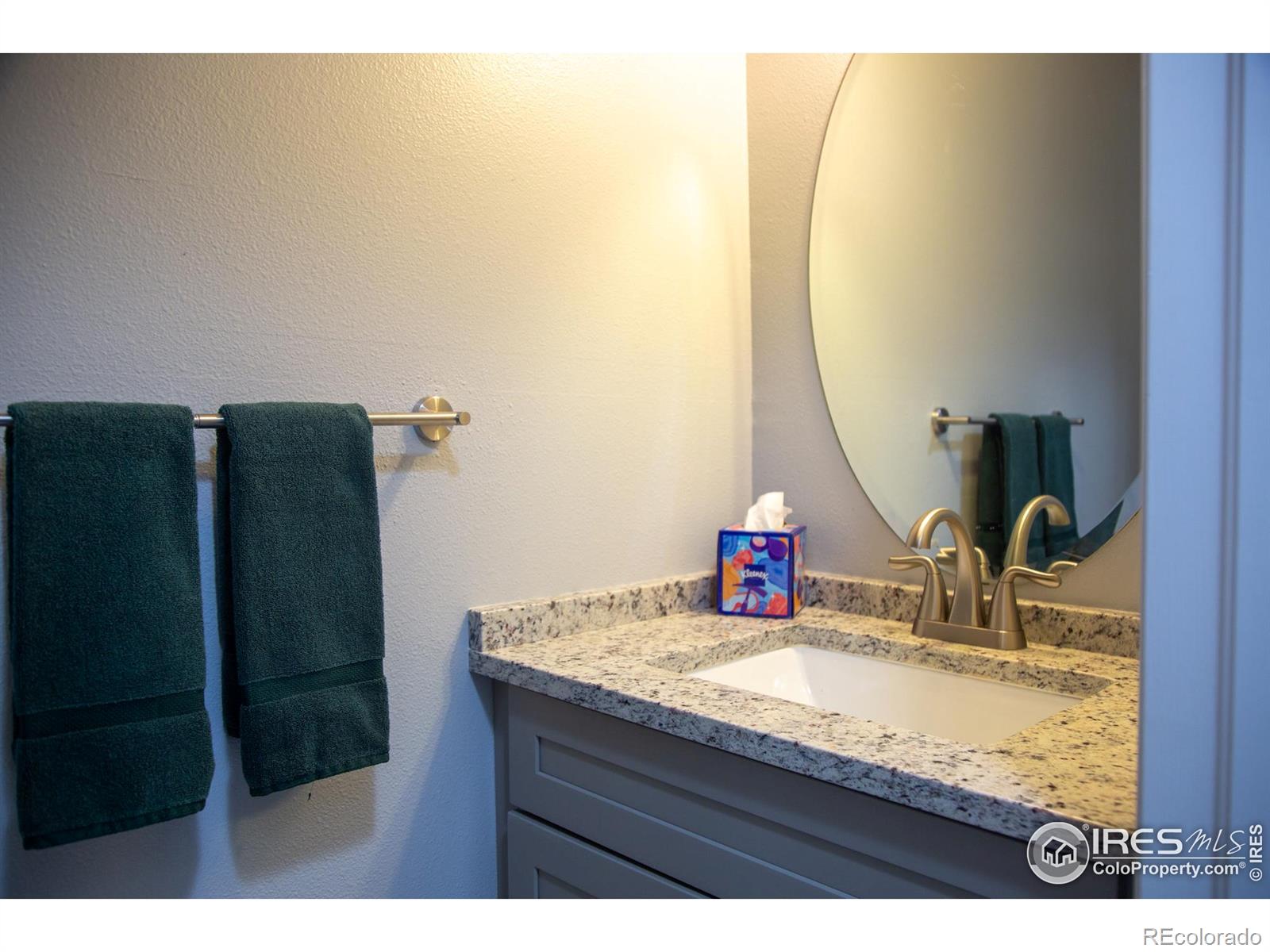 MLS Image #10 for 135  carina circle,loveland, Colorado