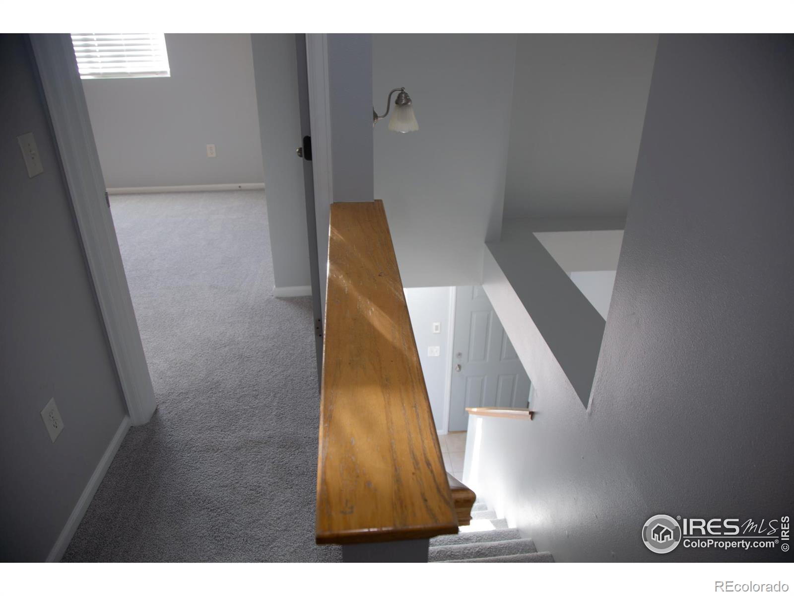 MLS Image #17 for 135  carina circle,loveland, Colorado